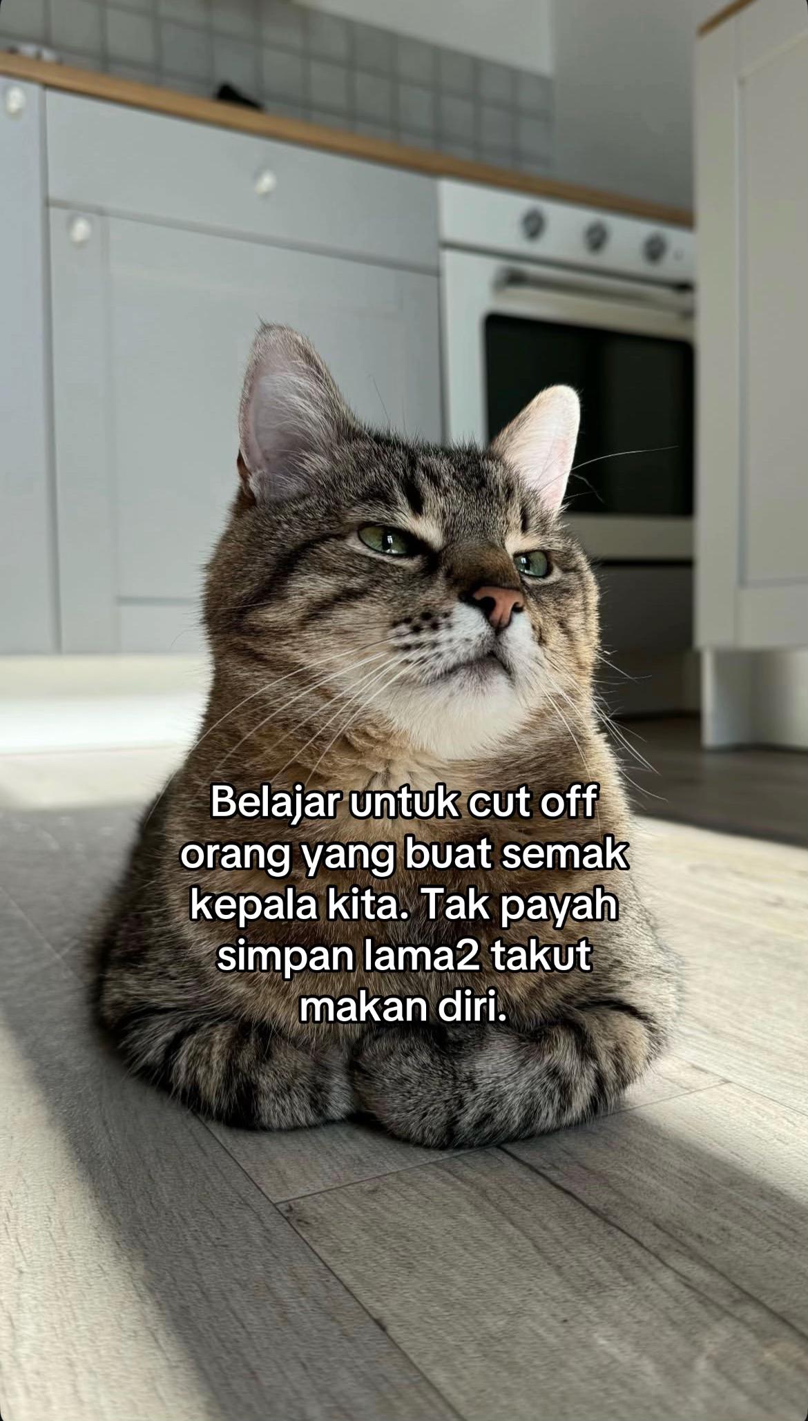 @ngeong prot prot