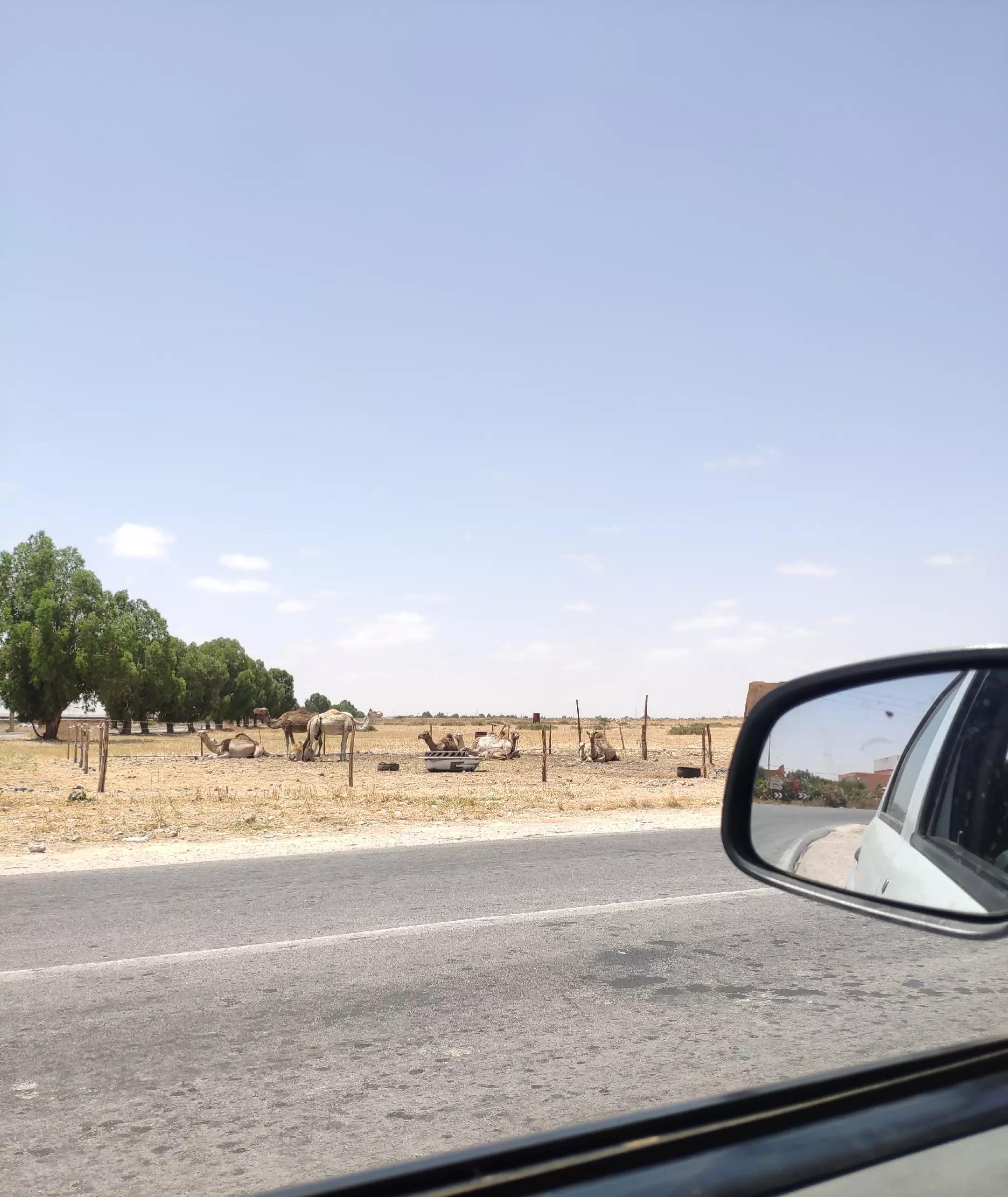 @Ali el bossi