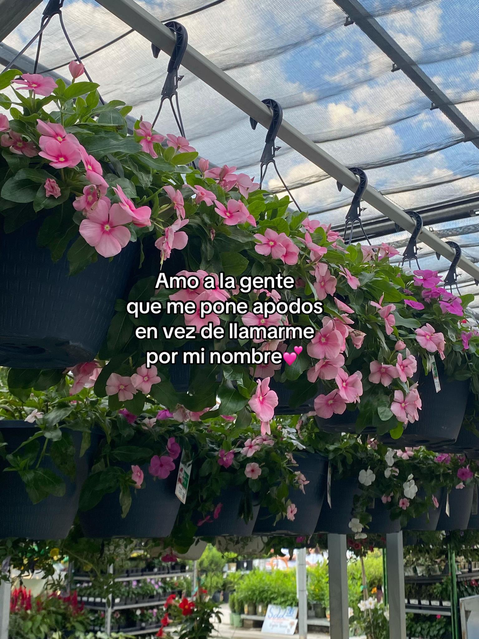 @Paulina🍓