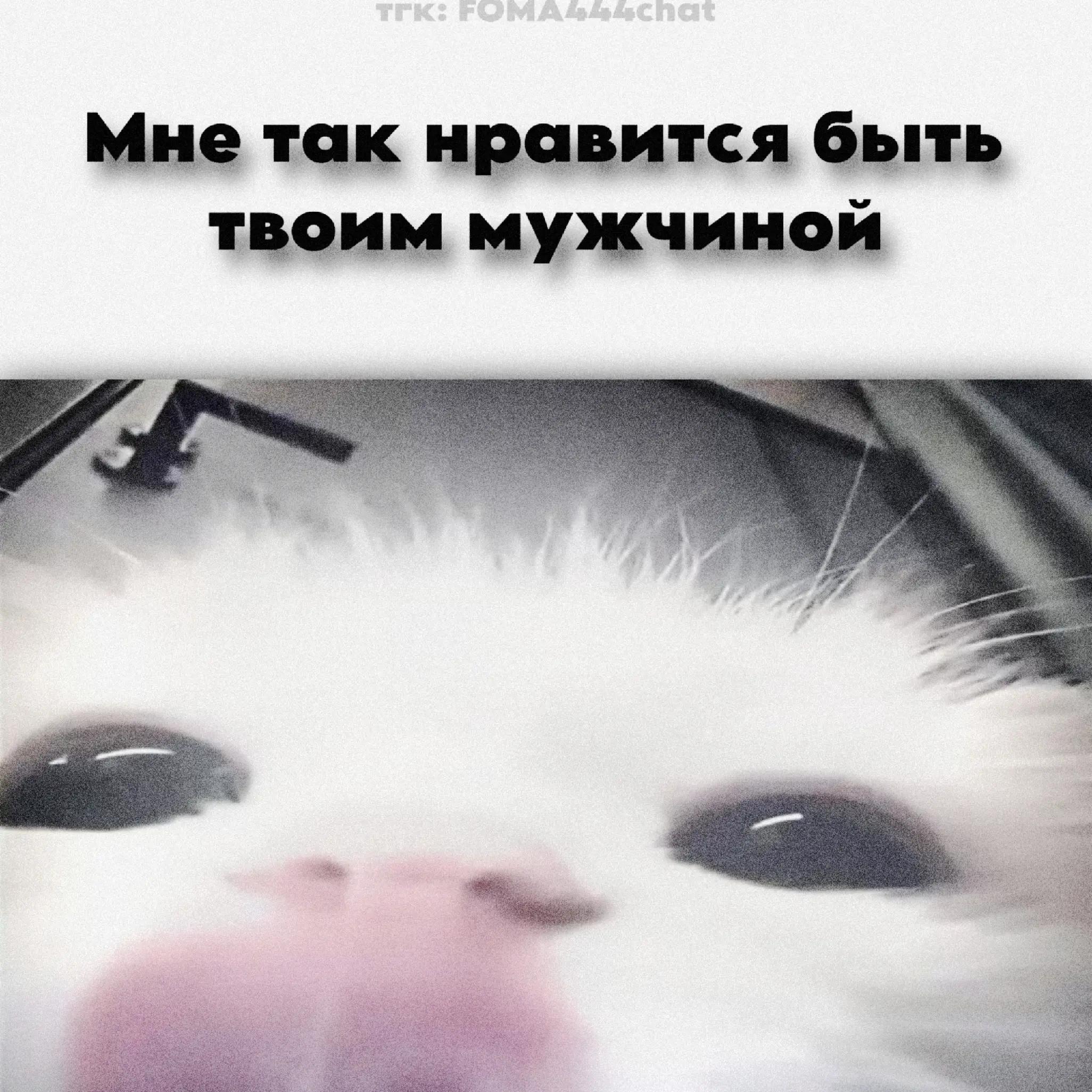 @тгк: FOMA444chat