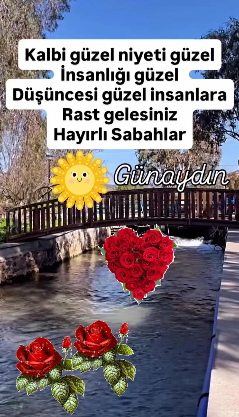 @Serpil G&uuml;neş
