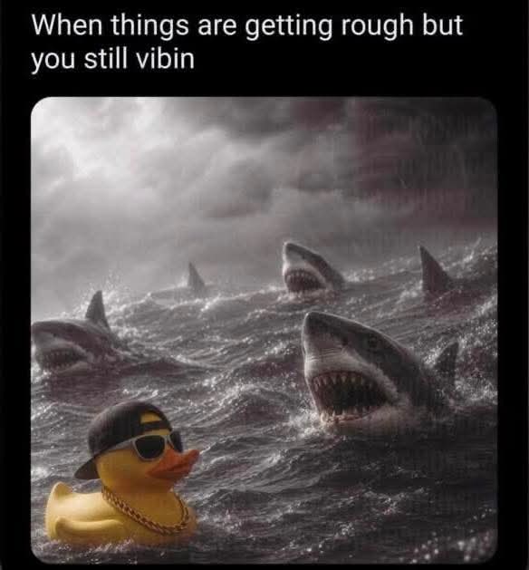 @Frankie🦈