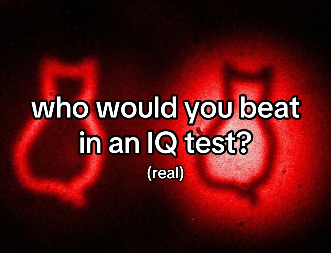 @instituteofintelligence.com