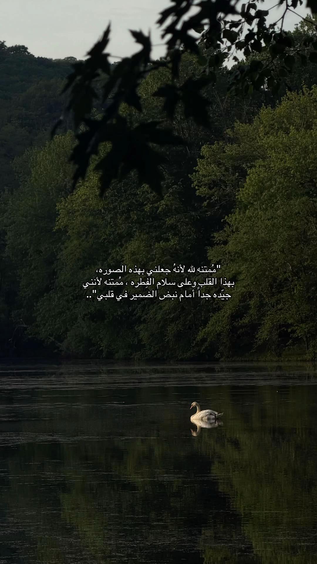 @𝚃.