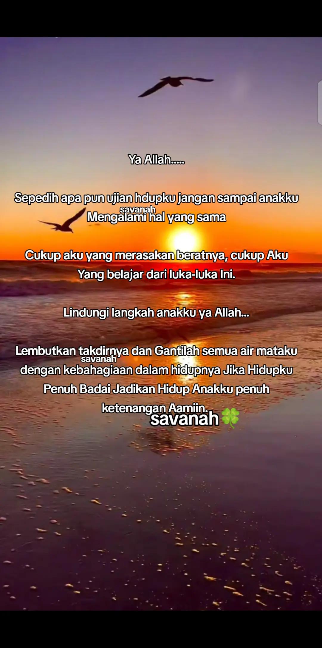 @Savanah🍀