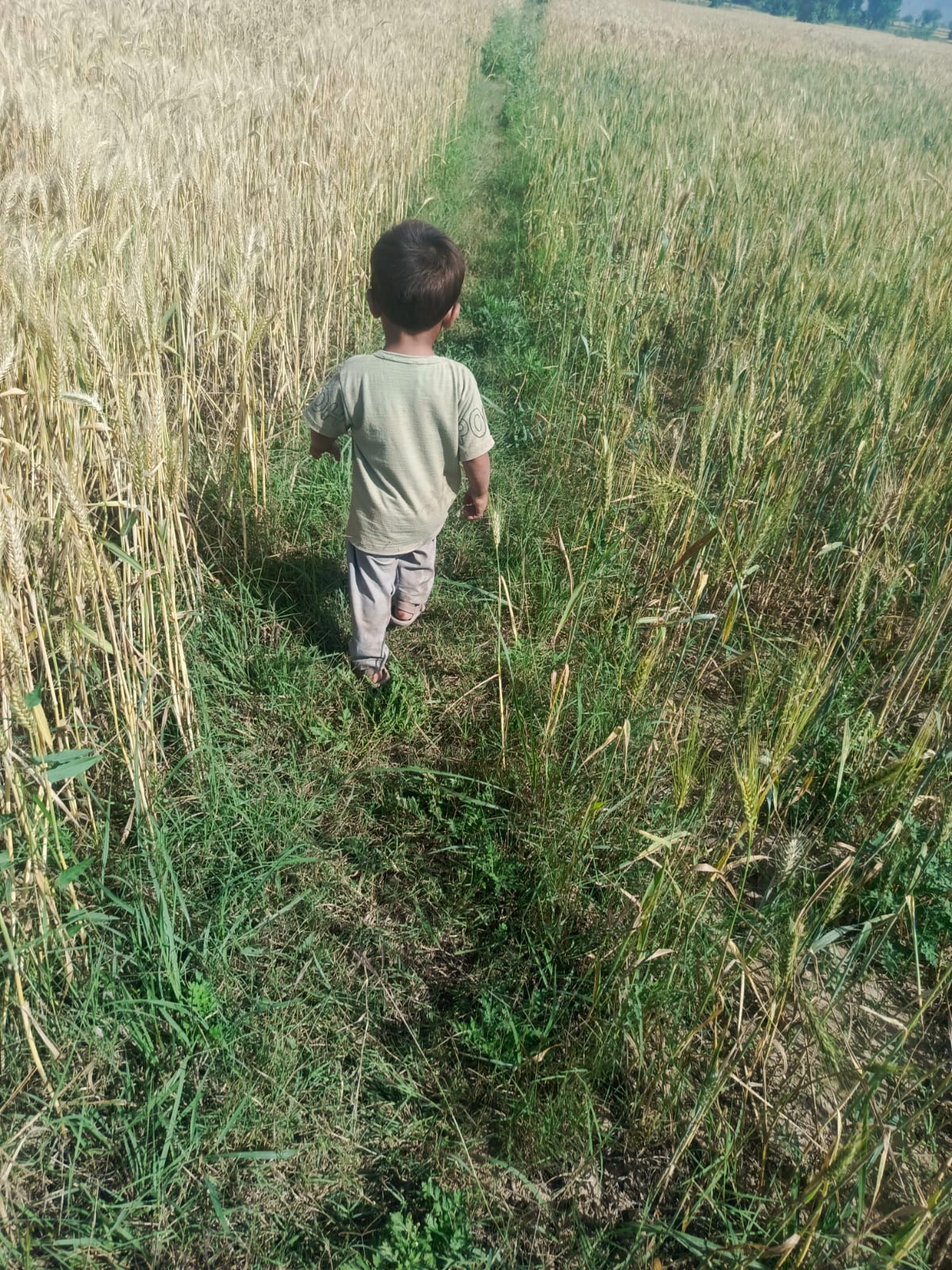 @Raj wali
