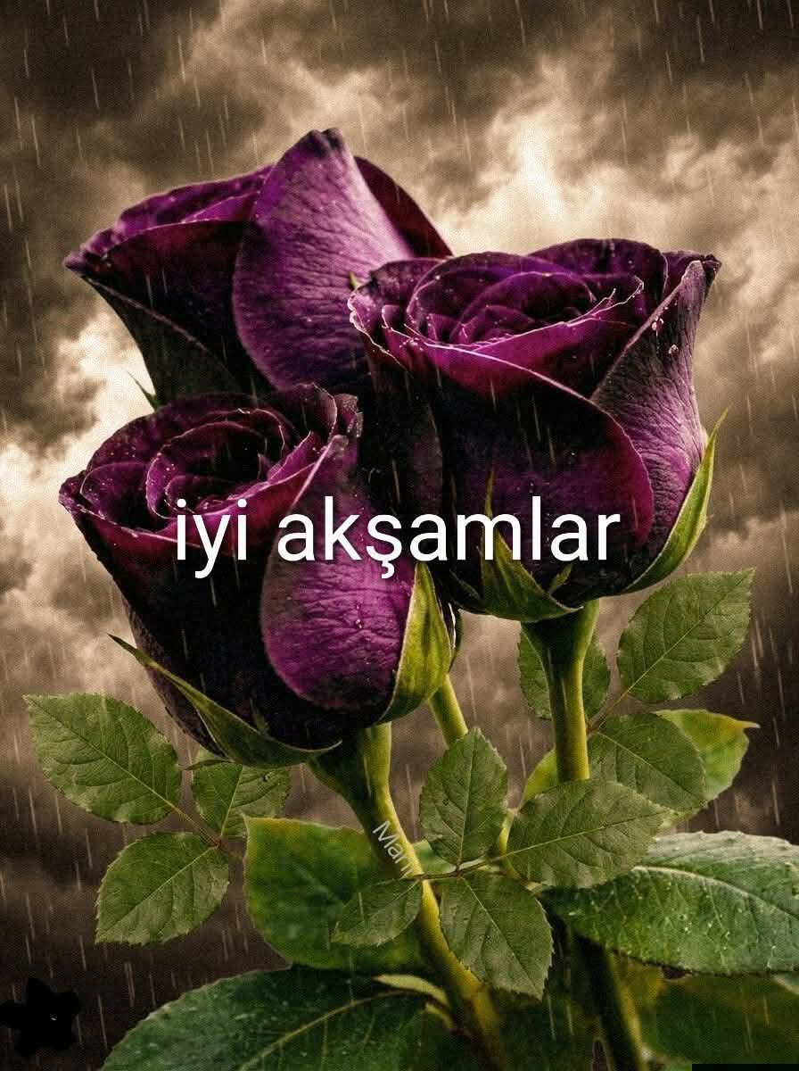 @💙LEYLA❤️ SULTAN 💙
