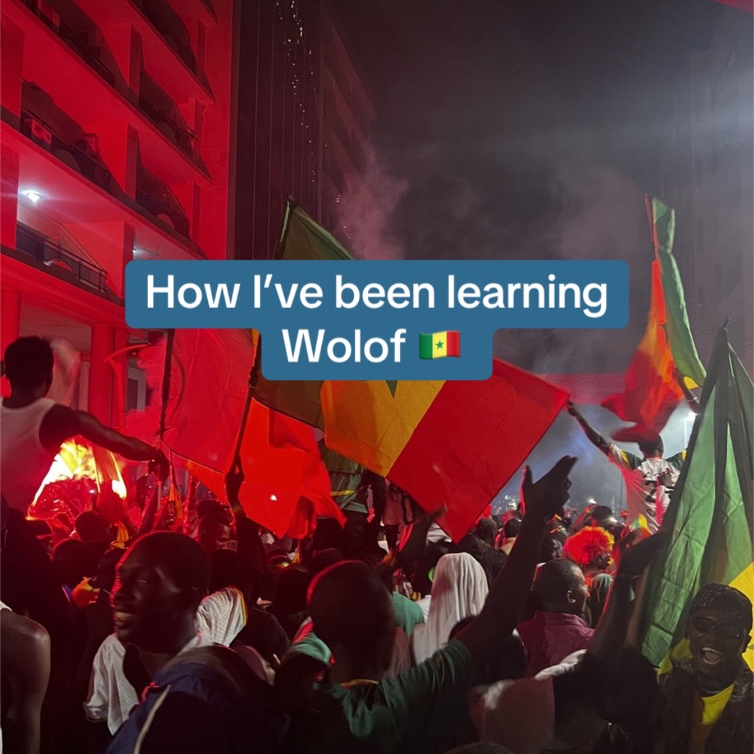 @languagelearner