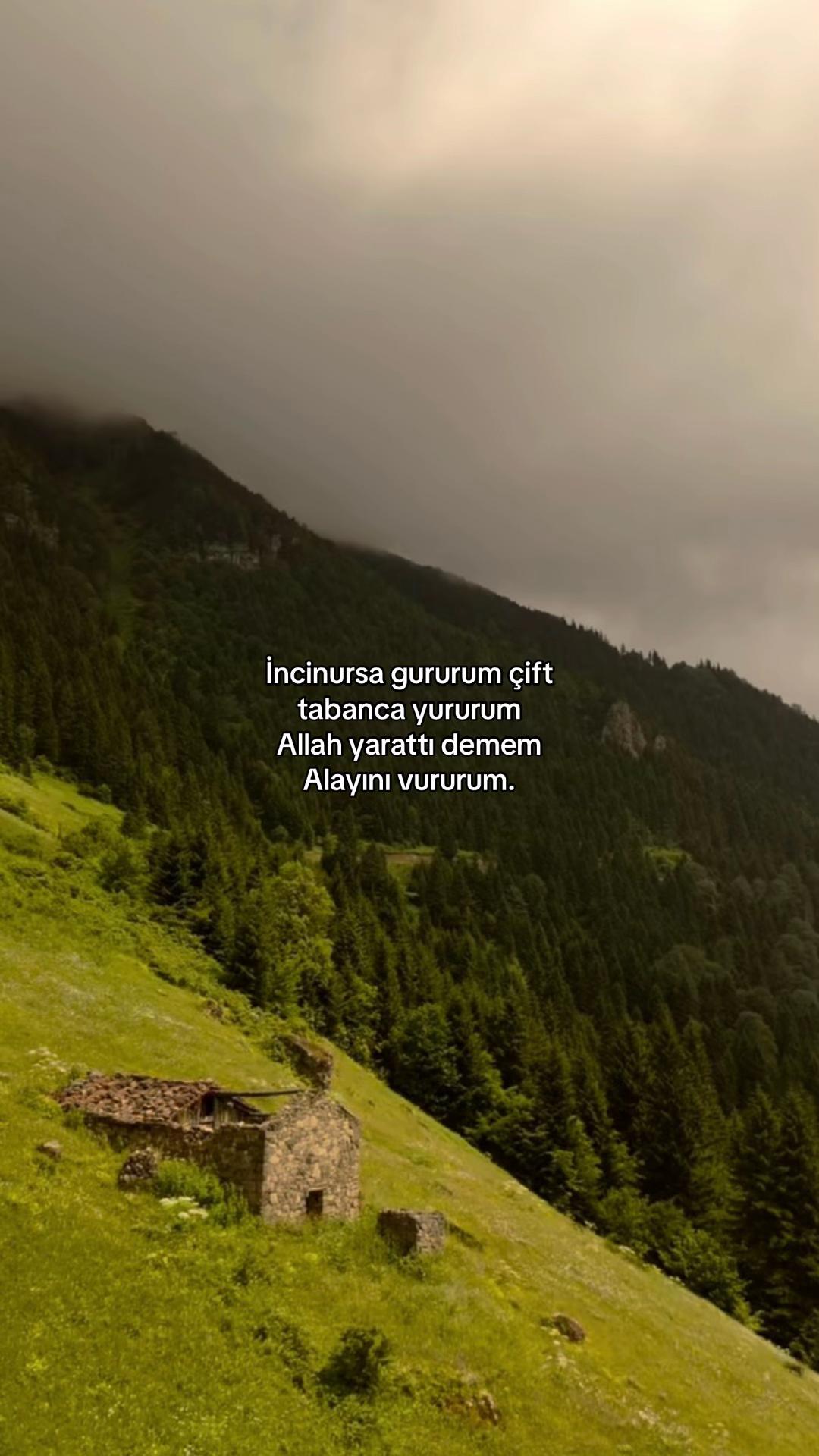@61.