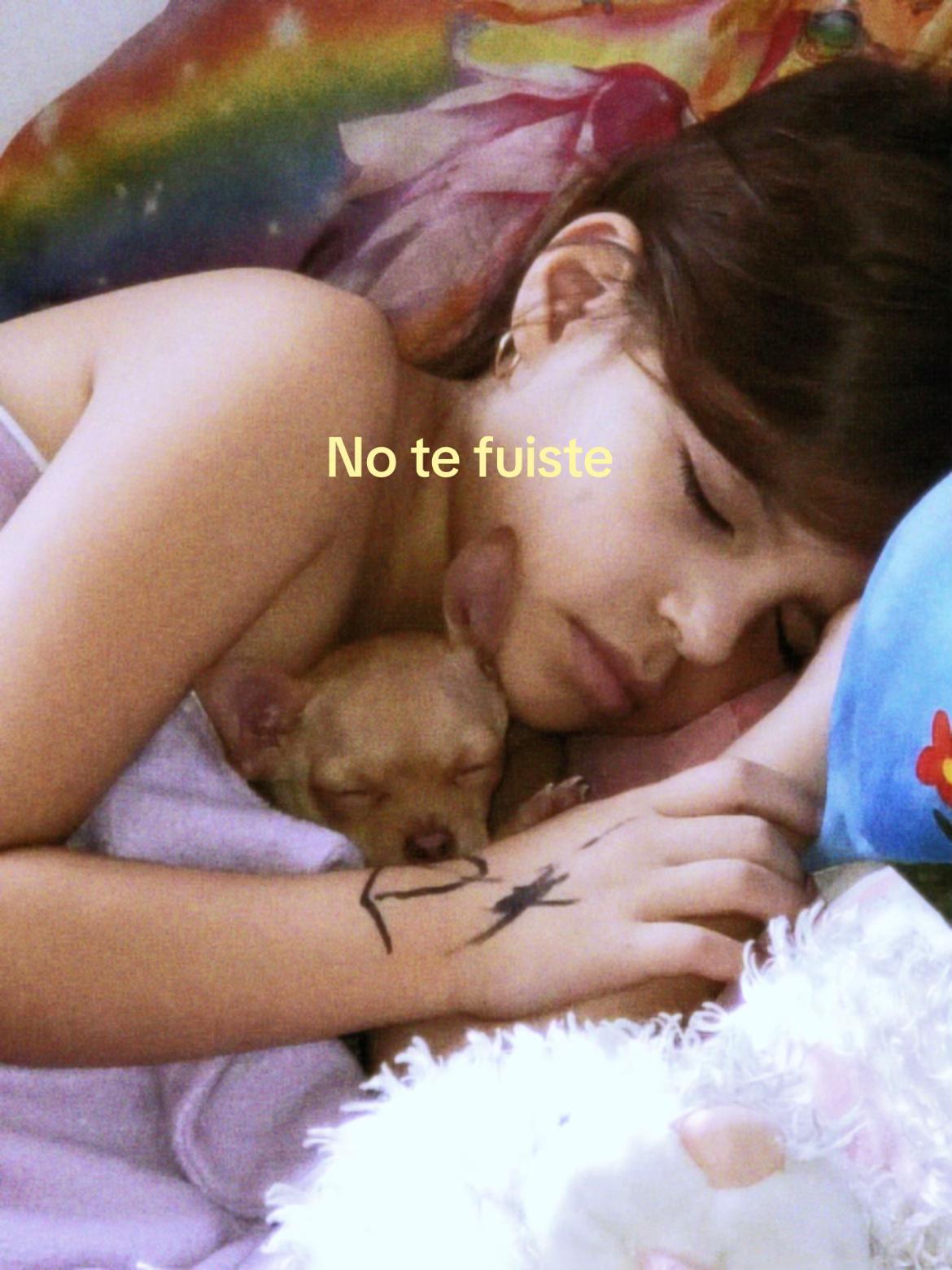 @moreefon ⭐️