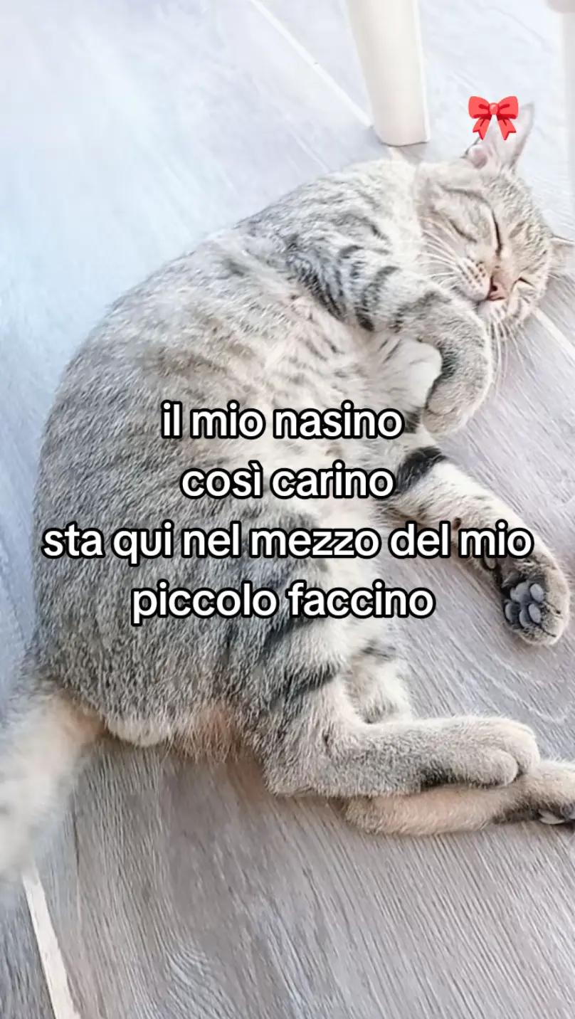 @peppino🤍🖤