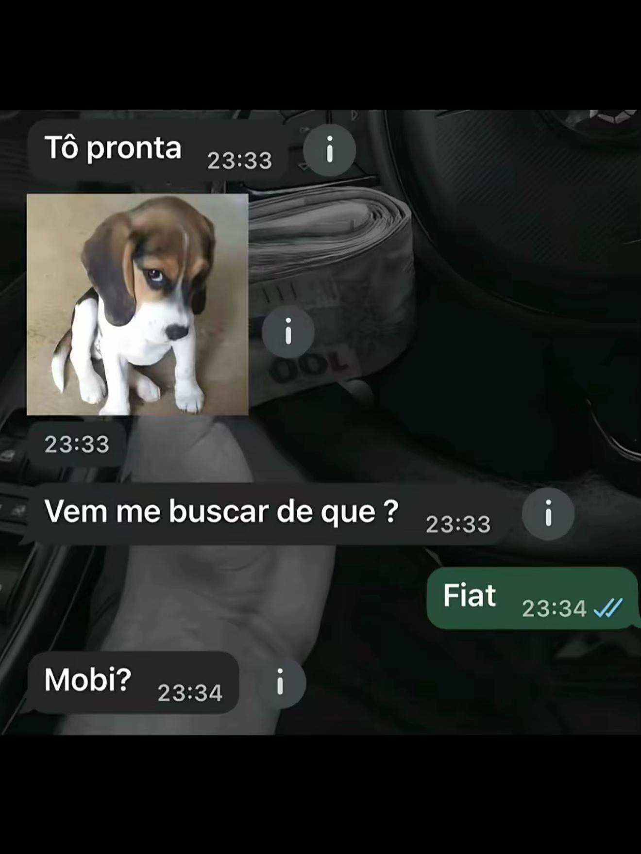 @Enziogoncalves_