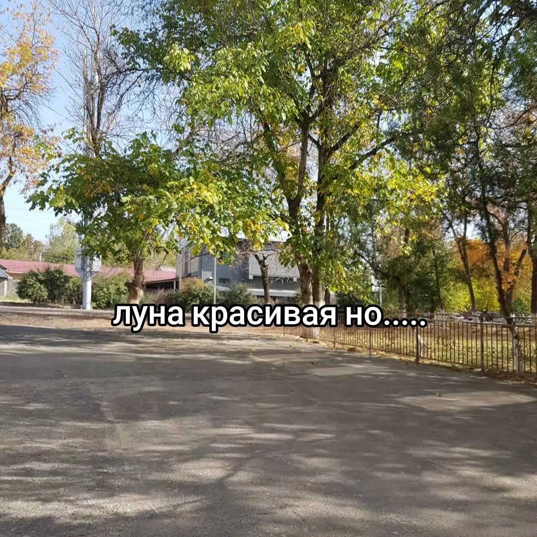 @svetik🤪😎💗