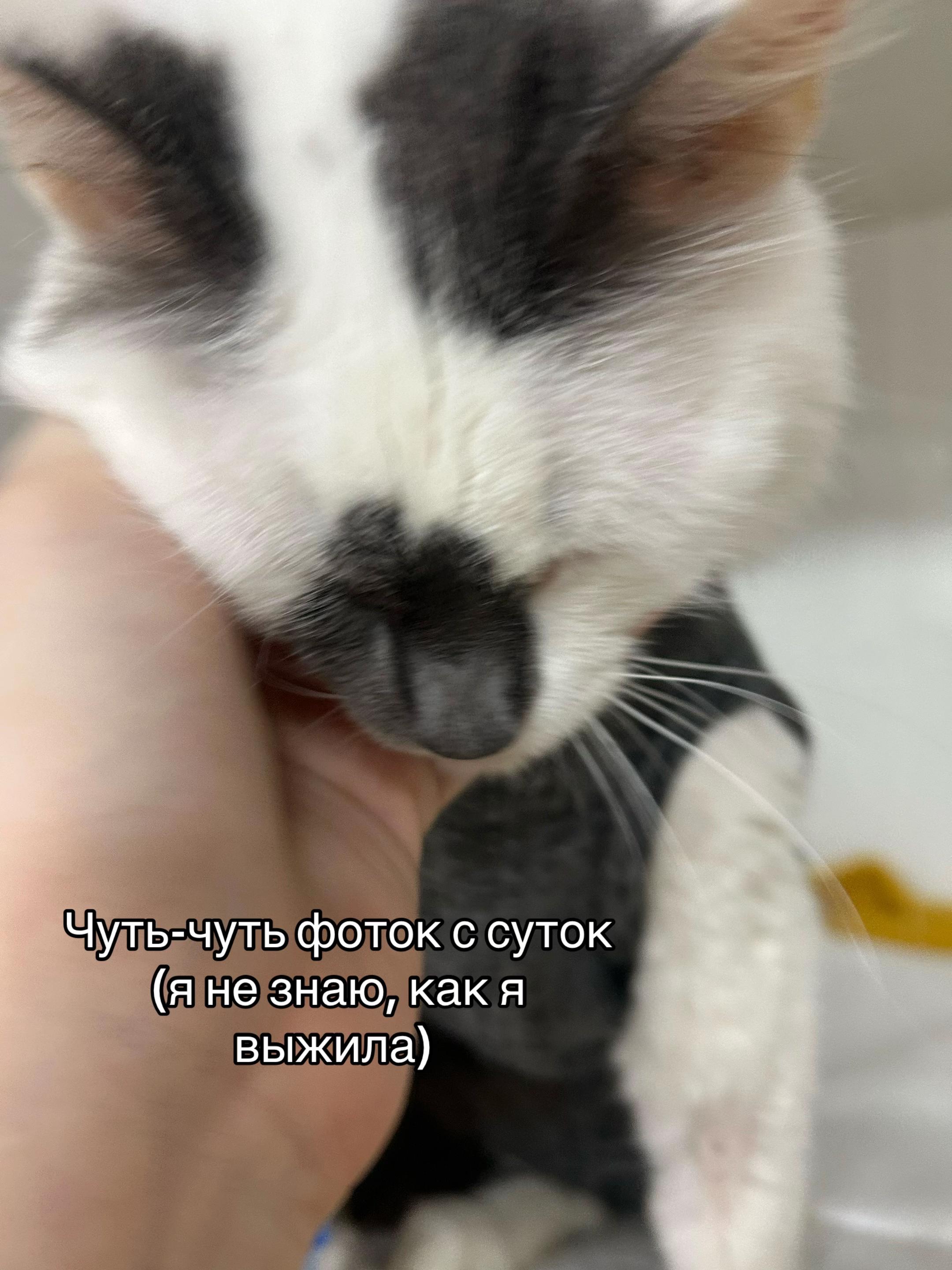 @Бельферг