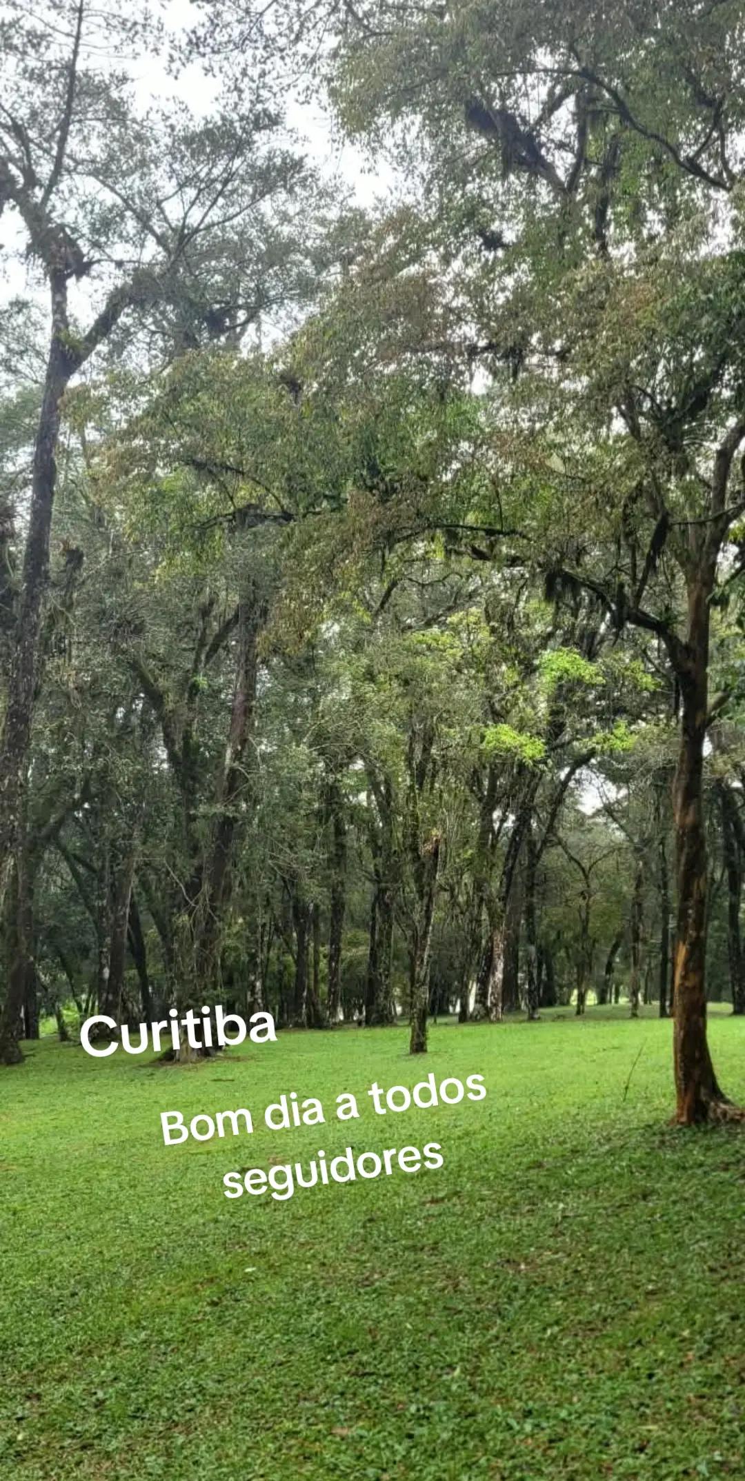 @Dona Cida, Pé na Estrada