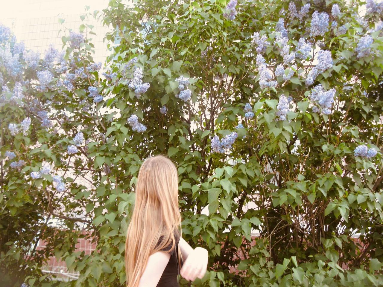 @тгк: kashtankaw