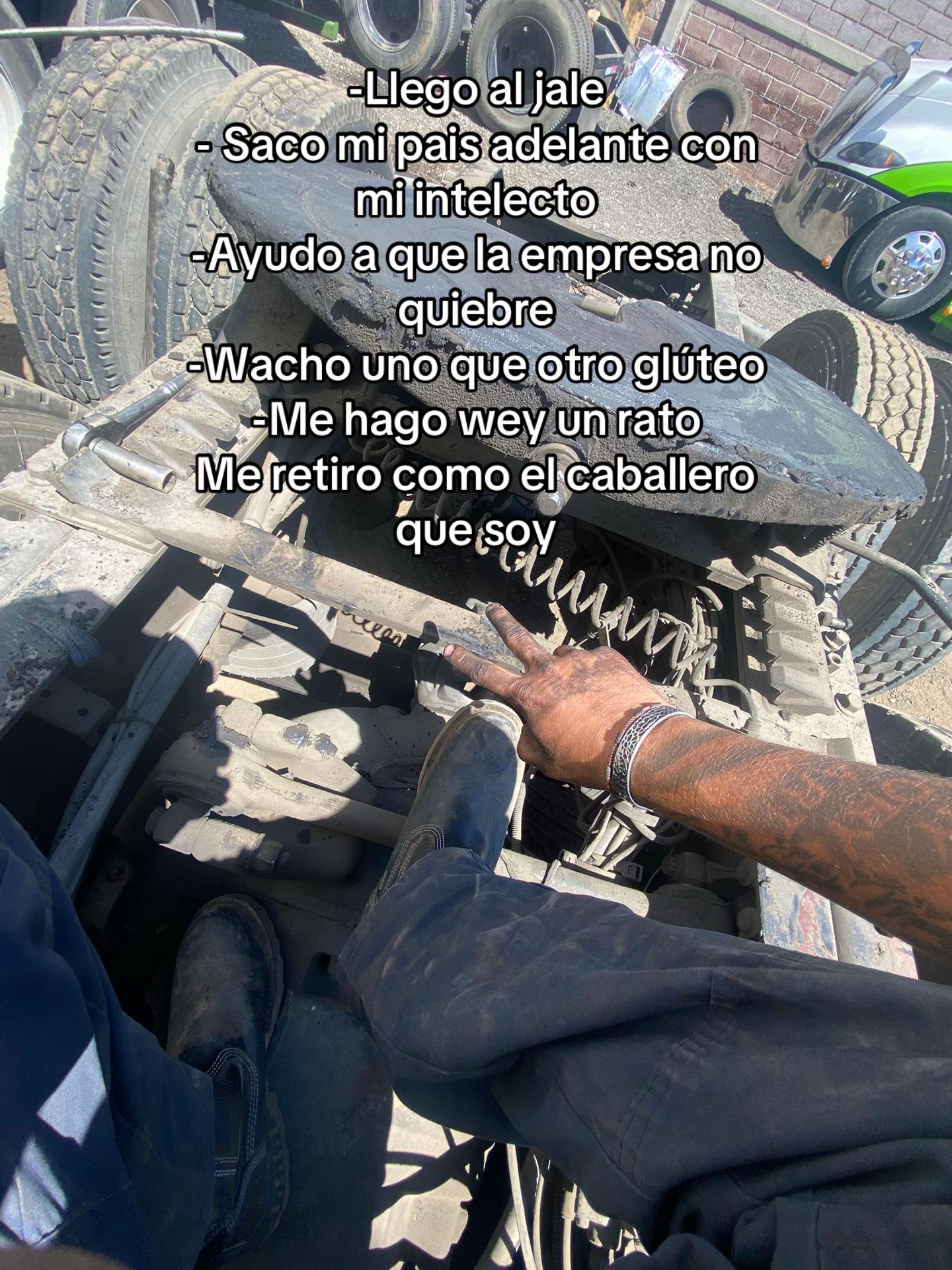 @nandosalgado8