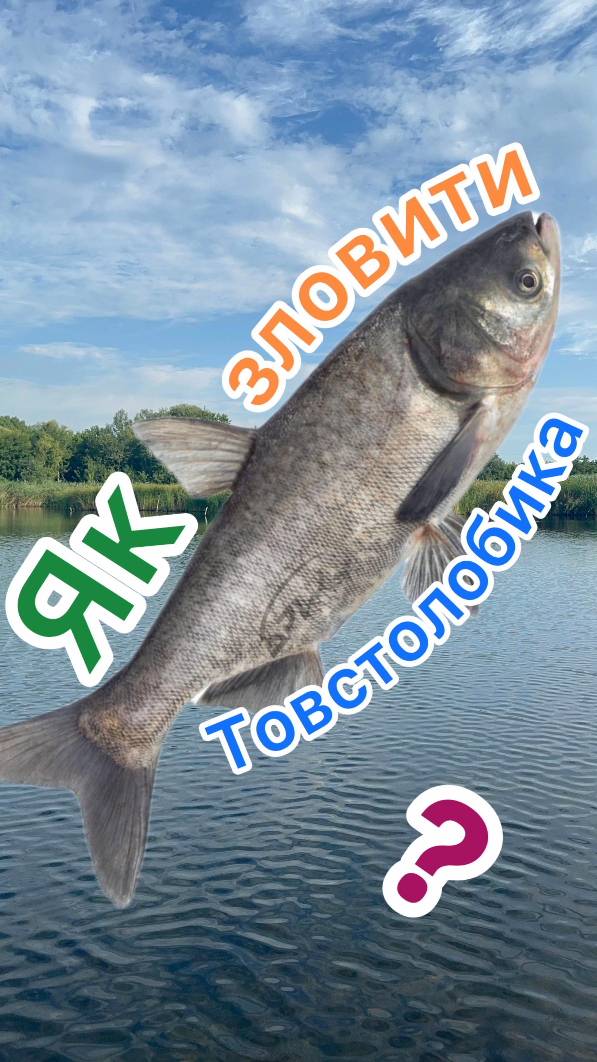 @РИБАЦЬКА МАНІЯ