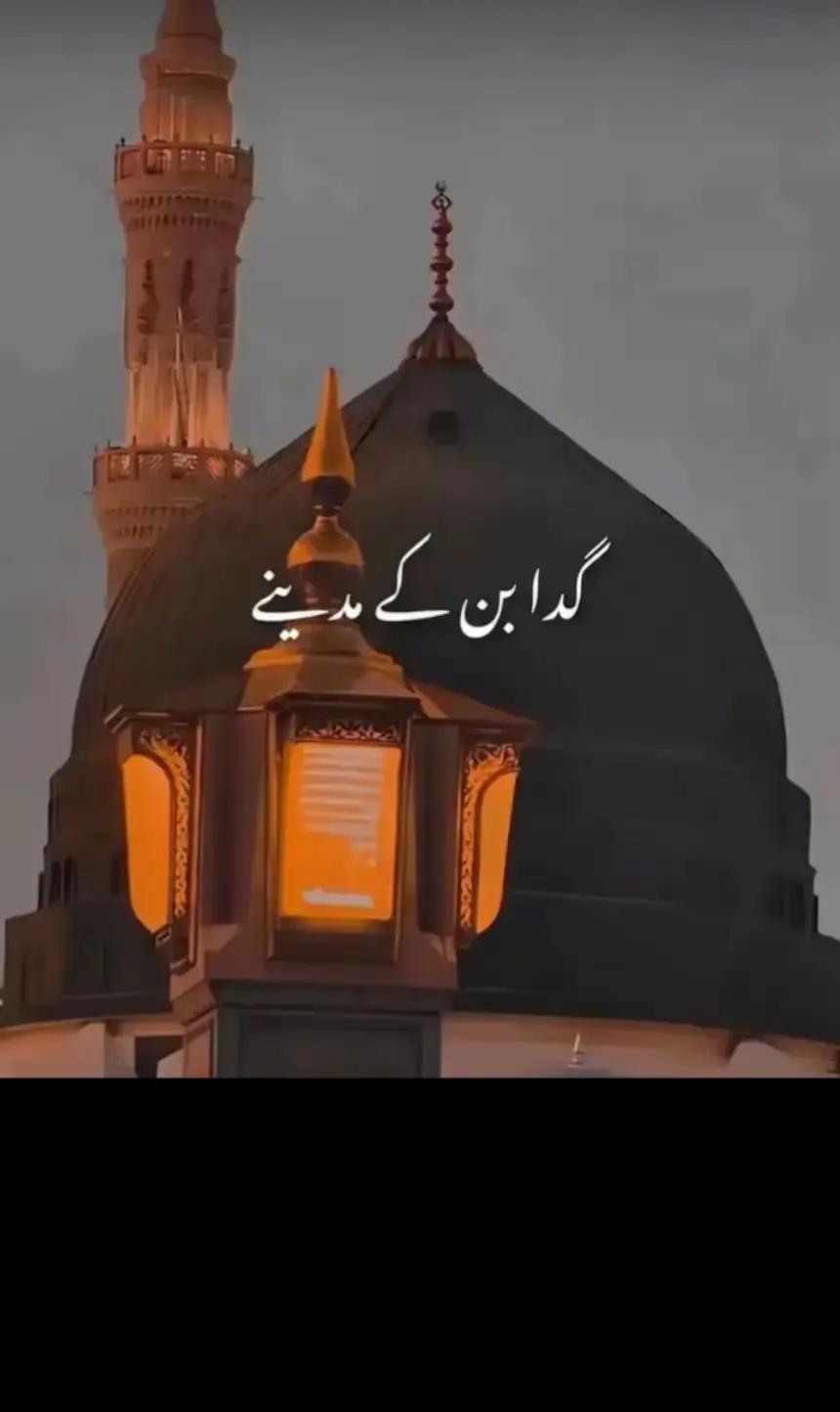 @Haider Ali 💯💯💯