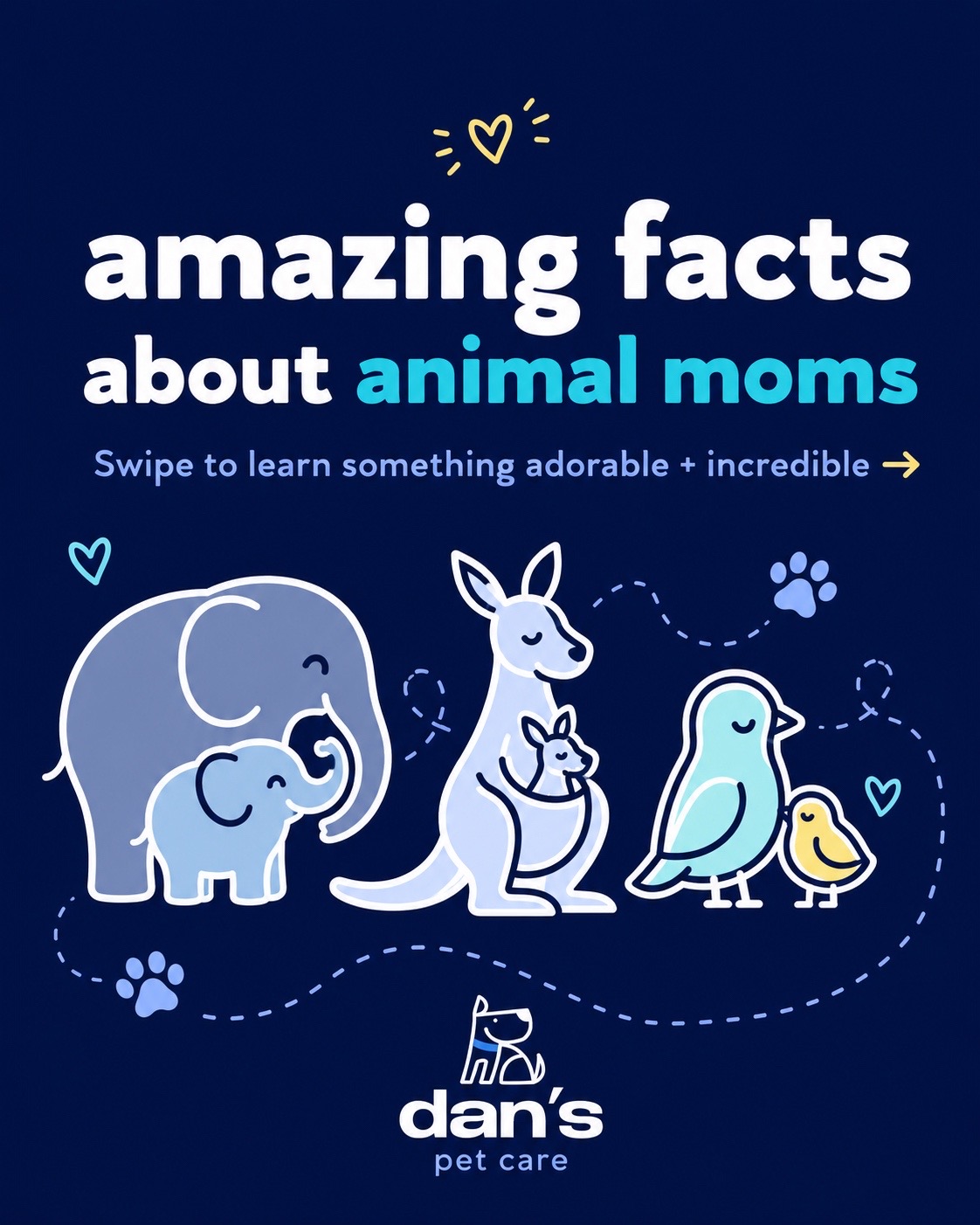 @Dan's Pet Care