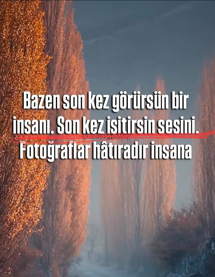 @mecnun