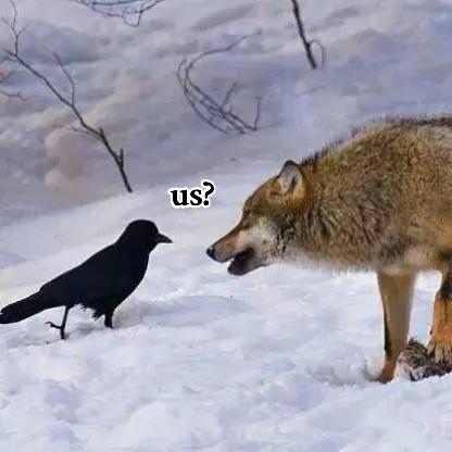 @๐ Otis ๐