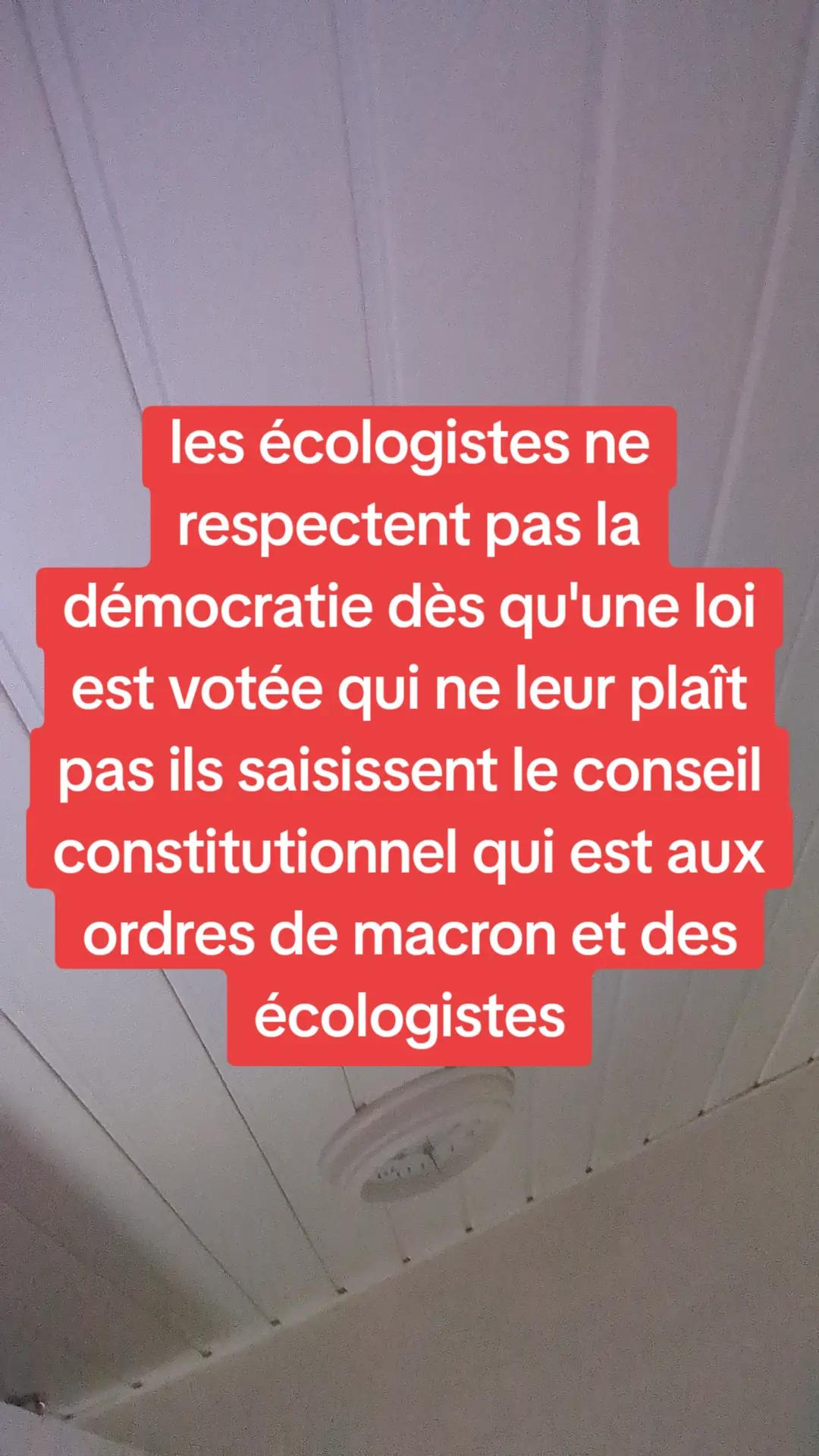 @pauline Delaunay