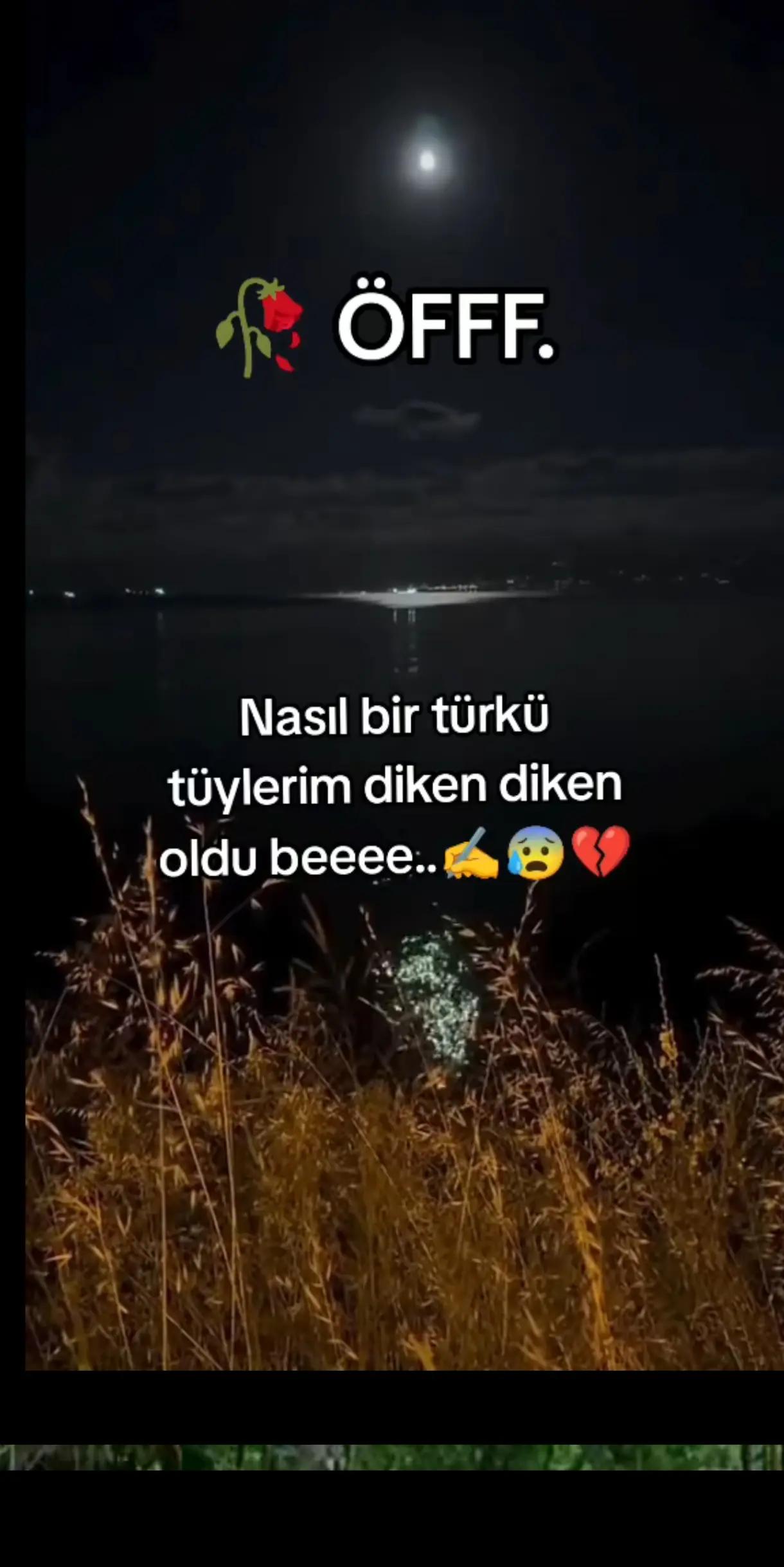 @💙LEYLA❤️ SULTAN 💙
