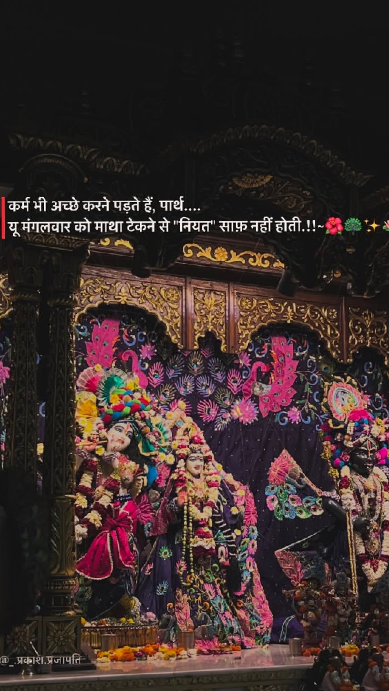 @🦚हरे कृष्ण (राधा❤️🪈)