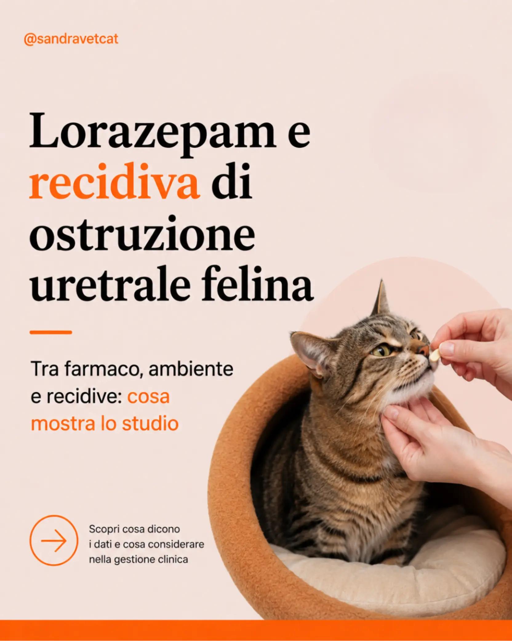 @Dr.ssa Sandra Viana