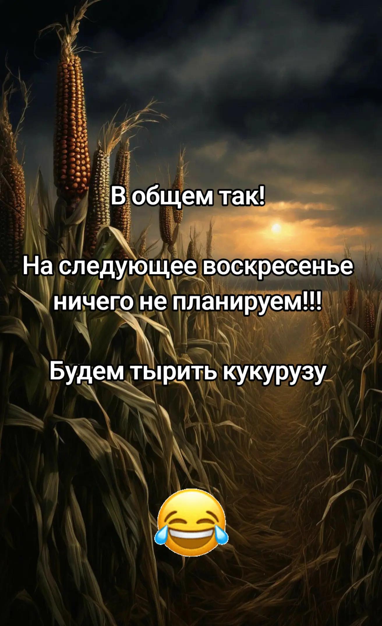 @🇷🇺bloger_76rus🇷🇺