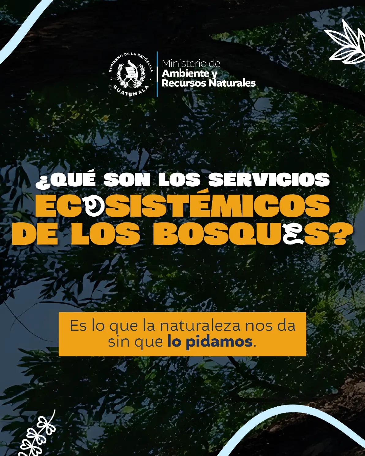 @Ministerio de Ambiente GT