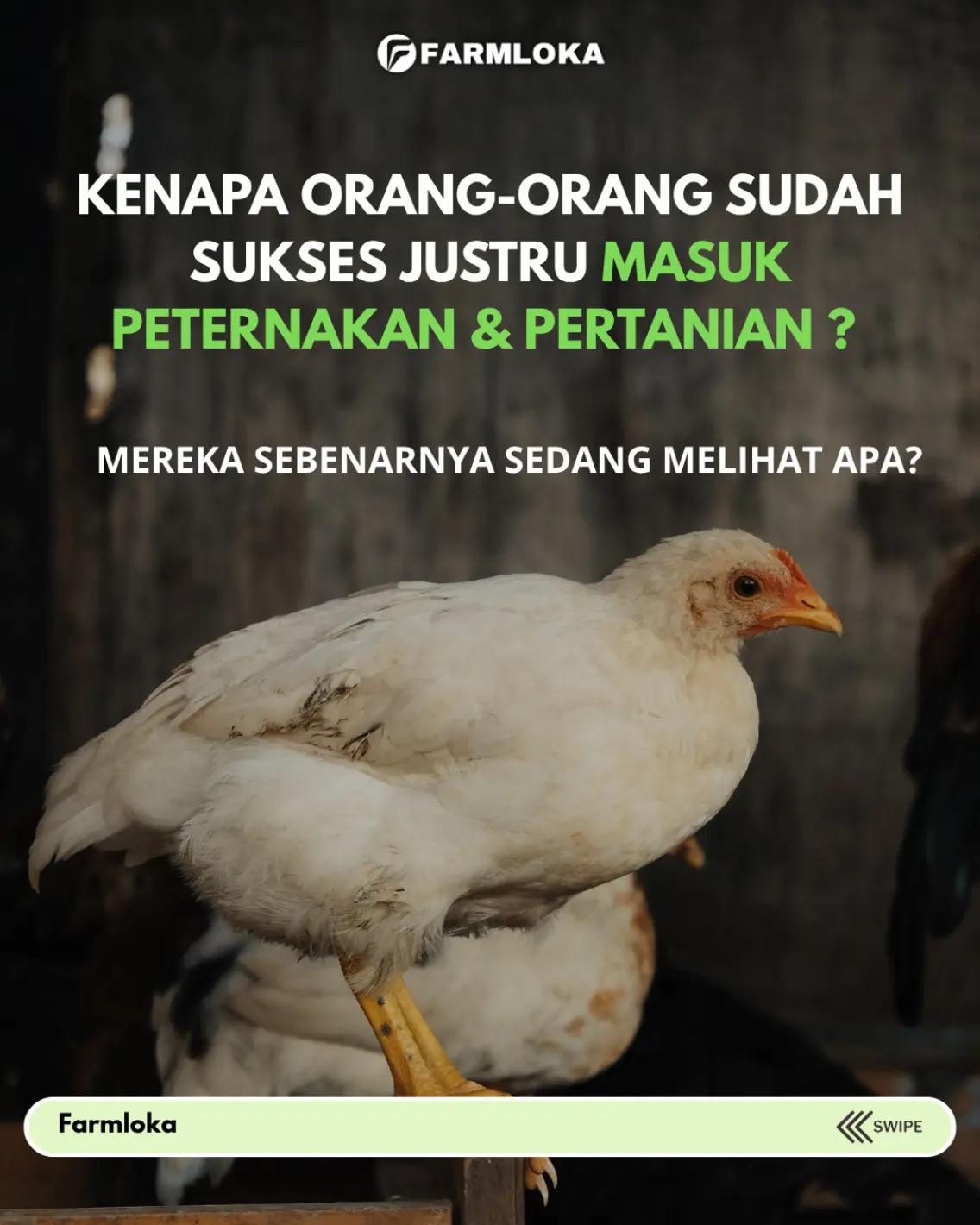 @Farmloka