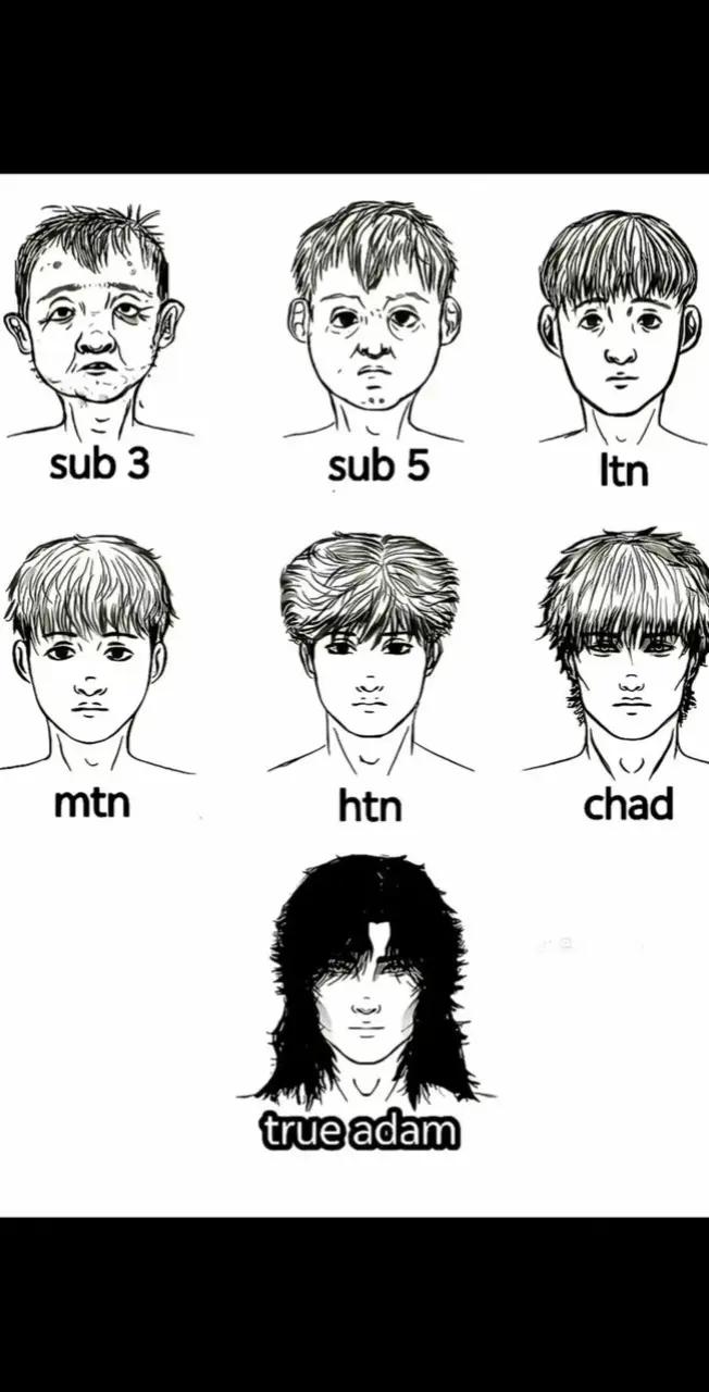 @๐ฝ๐๐๐๐๐ฉ๐ฉ