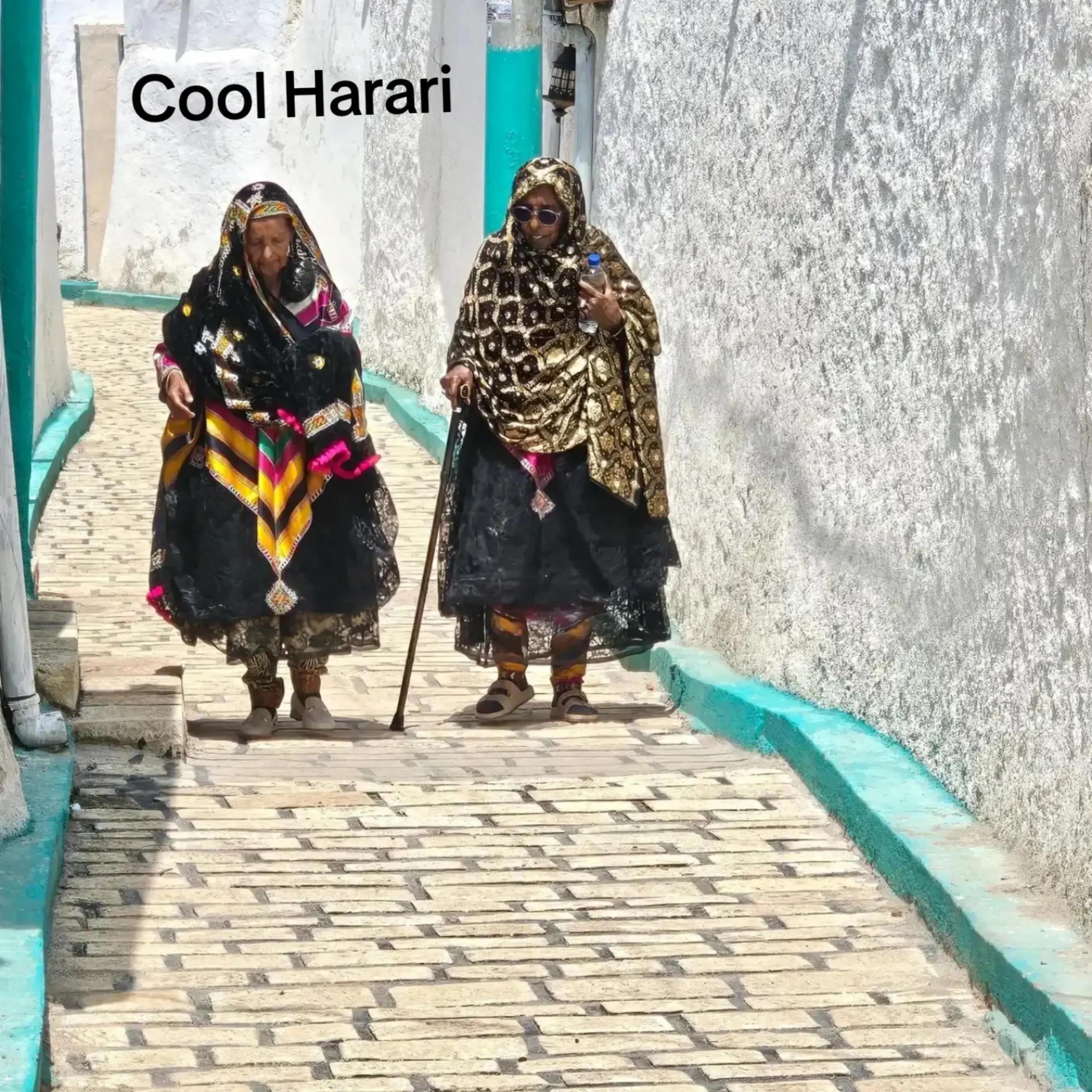 @Cool Harari