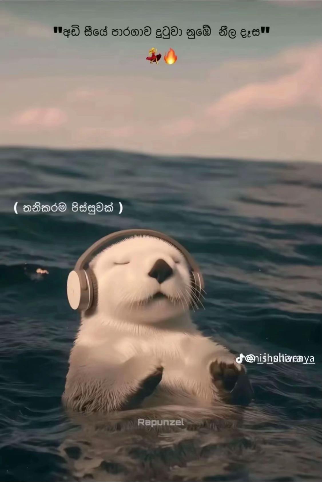 @උමේ|UME 🤍"