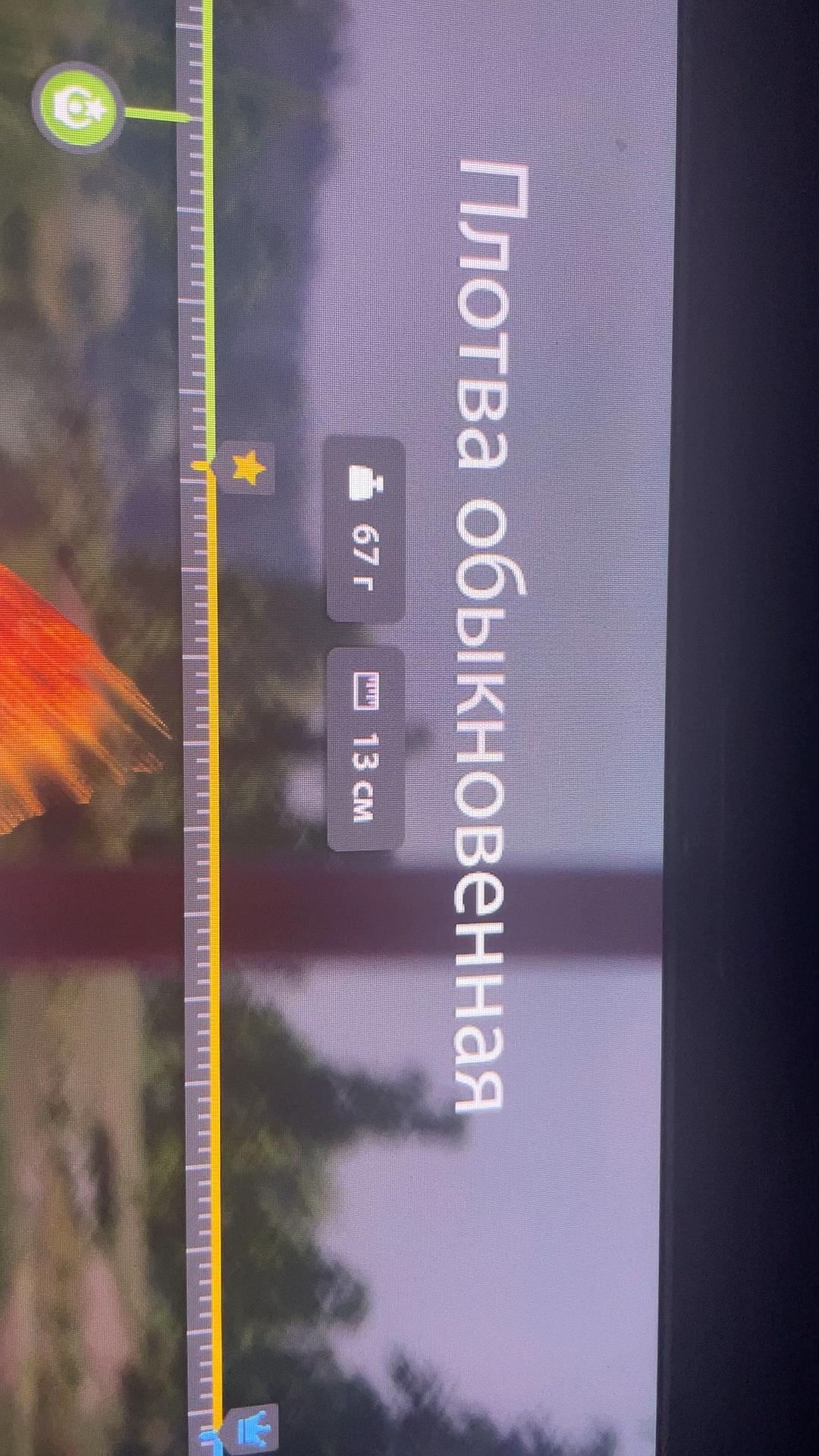 @RevoltR8