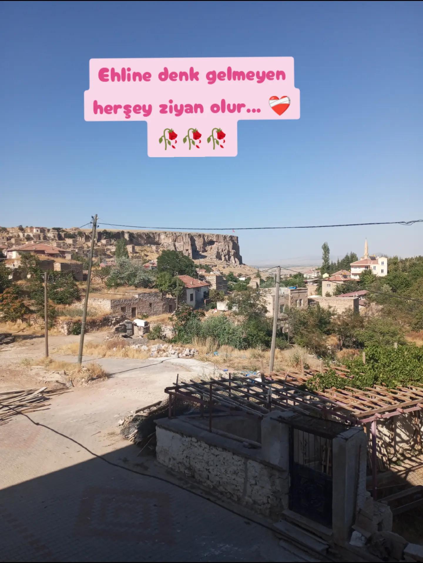 @Tahsin_Piko
