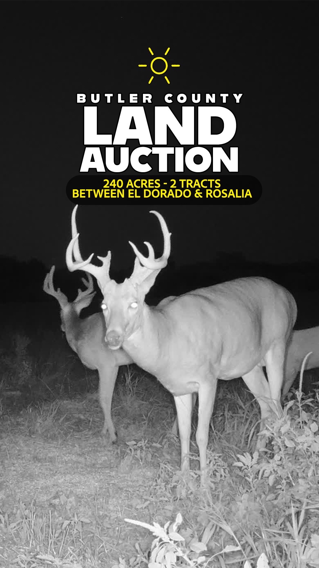 @Sundgren Realty & Auction