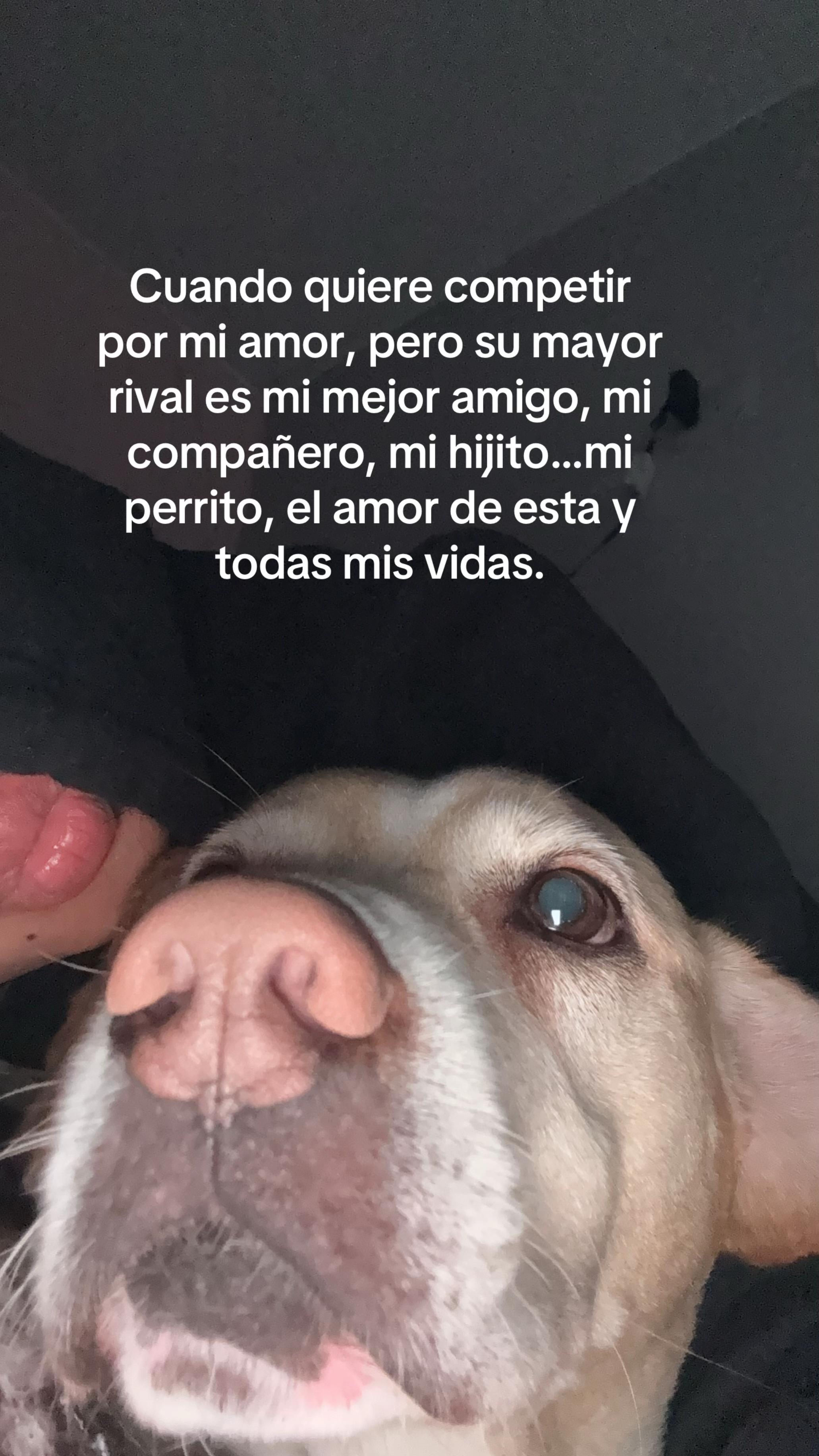 @zaleth haro