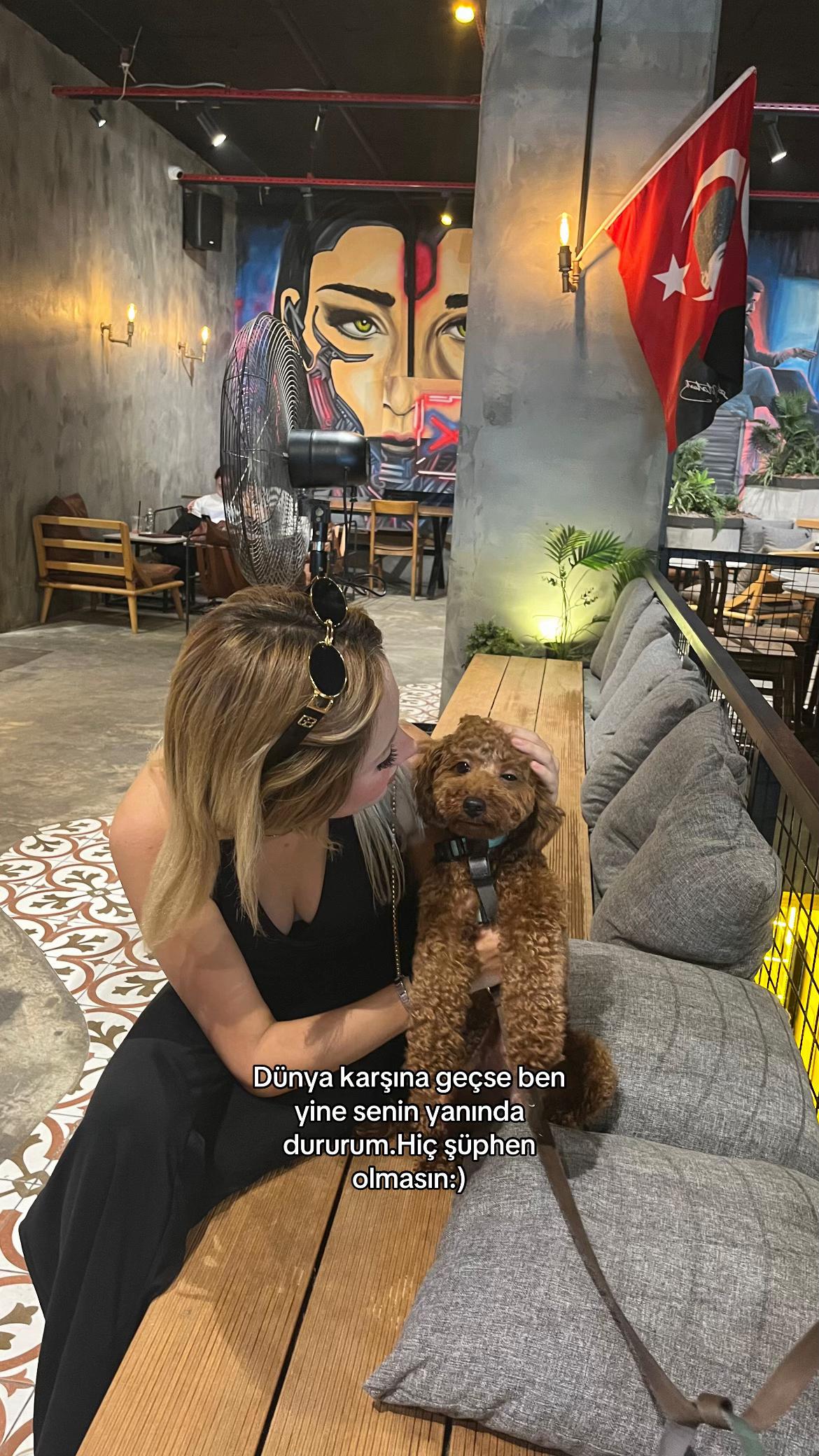 @llzynpsvm