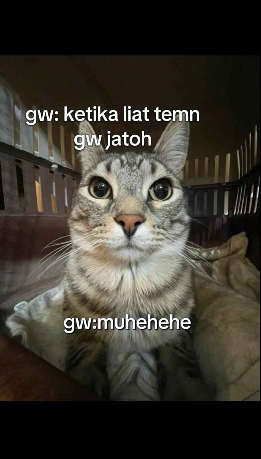 @Zaa? • Mengikuti
