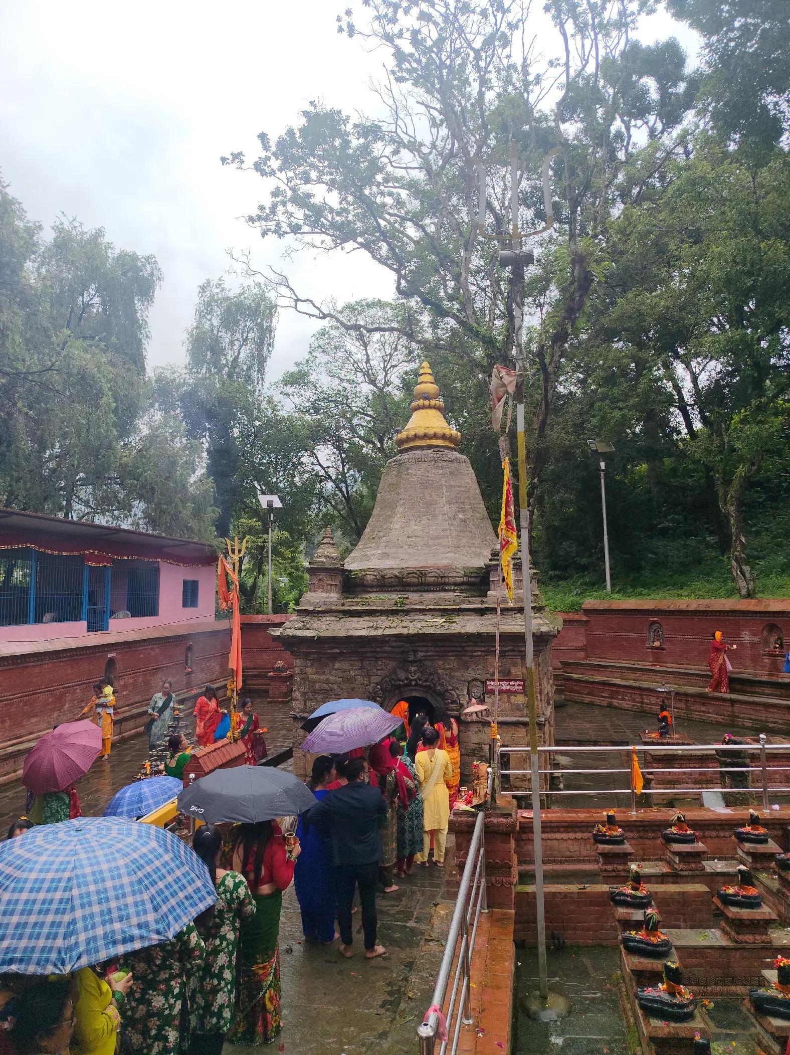@Kamala Dahal