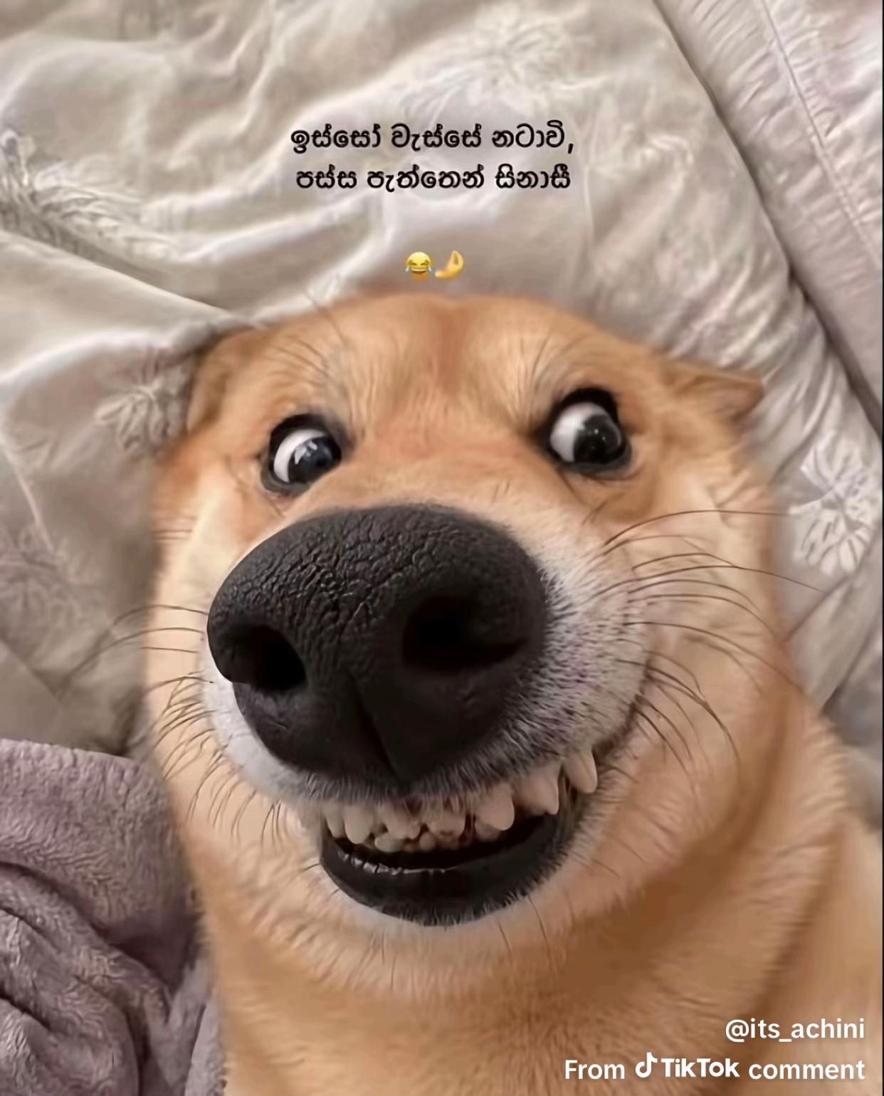 @Maya 😍 மாயா 🧿