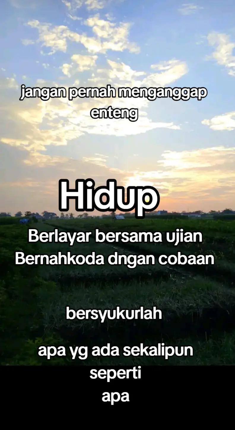 @ST Sehati