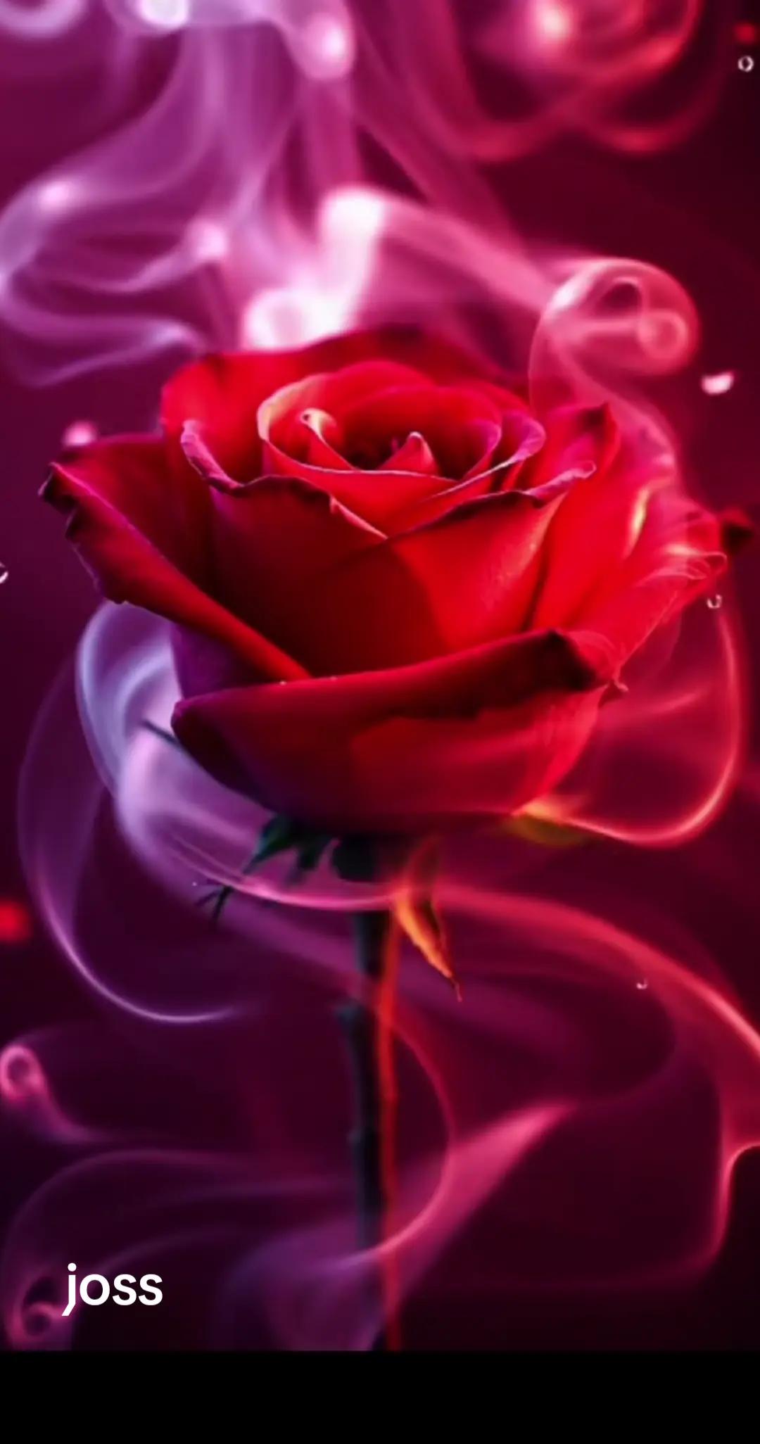 @❤️❤️Jose❤️😍 Ortega😘😘 amor