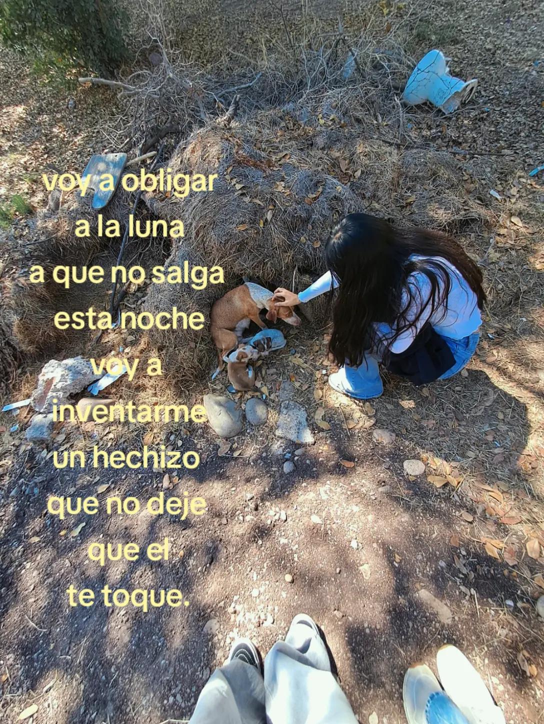 @camiluchiss
