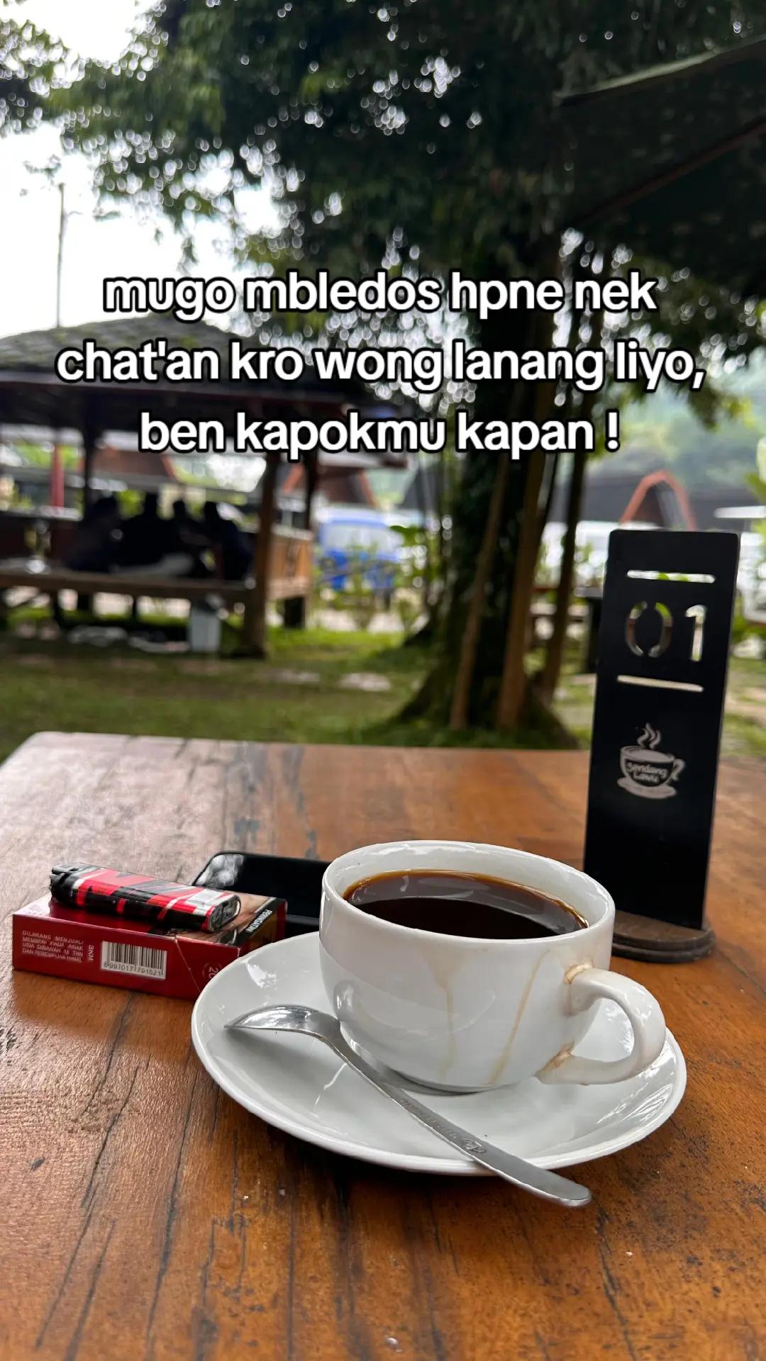 @reo setiyawan