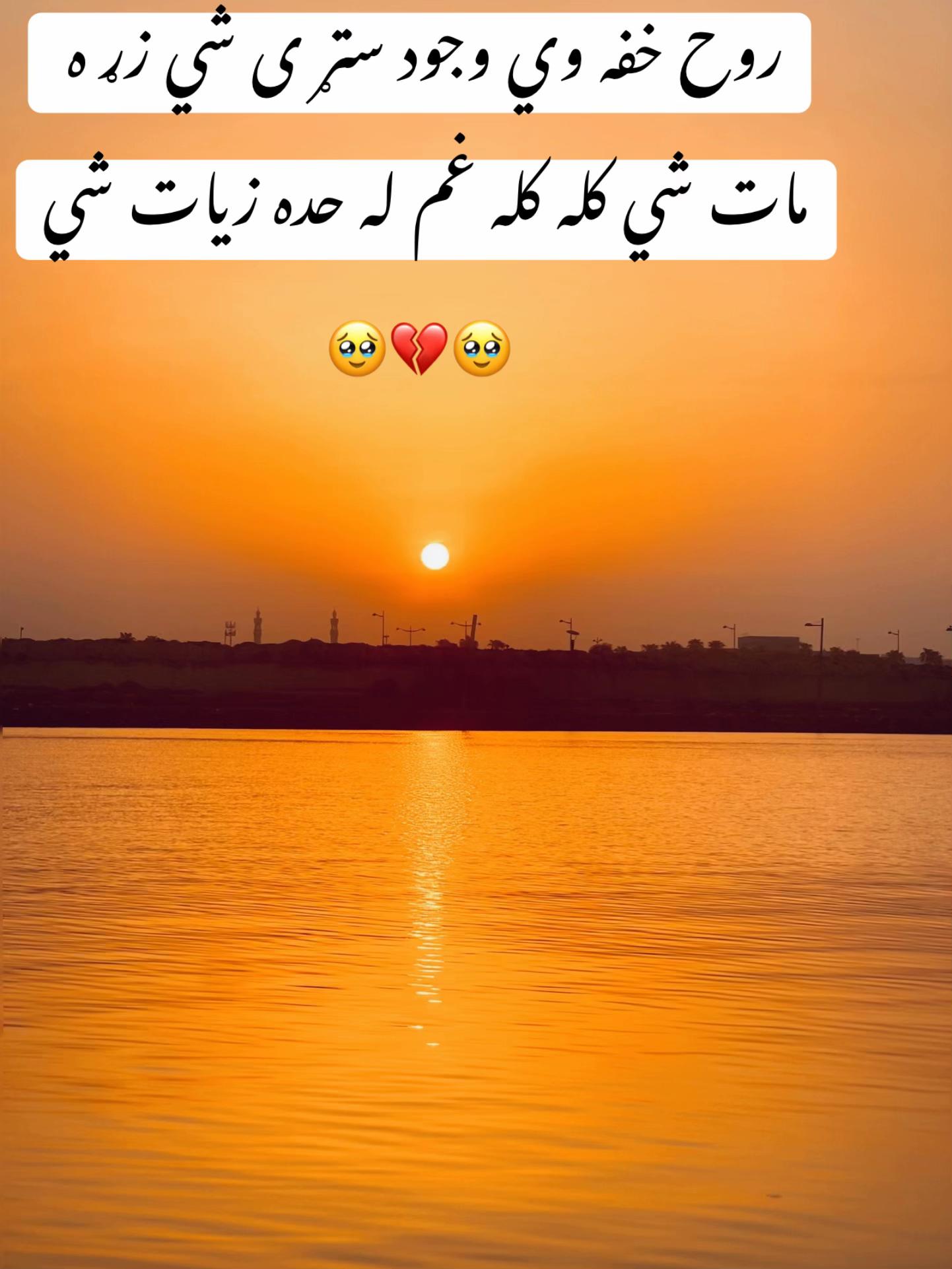 @sheikhhafeezoo774