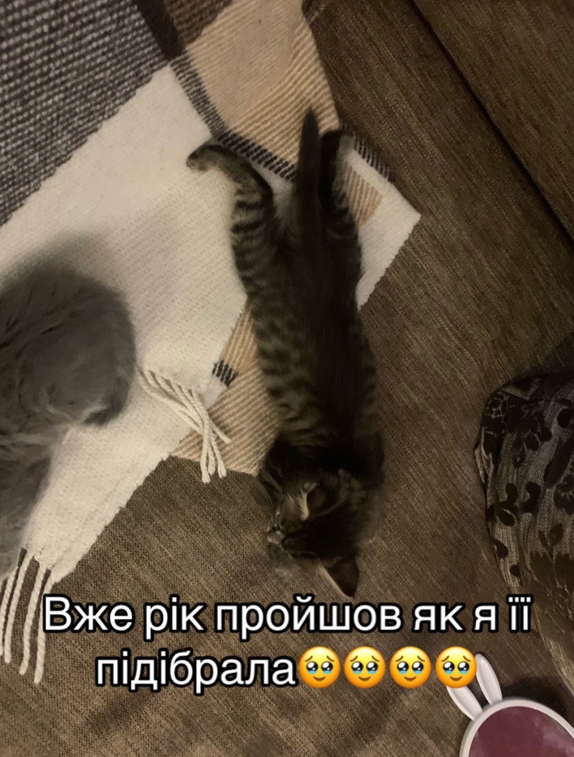 @lina.lite300r